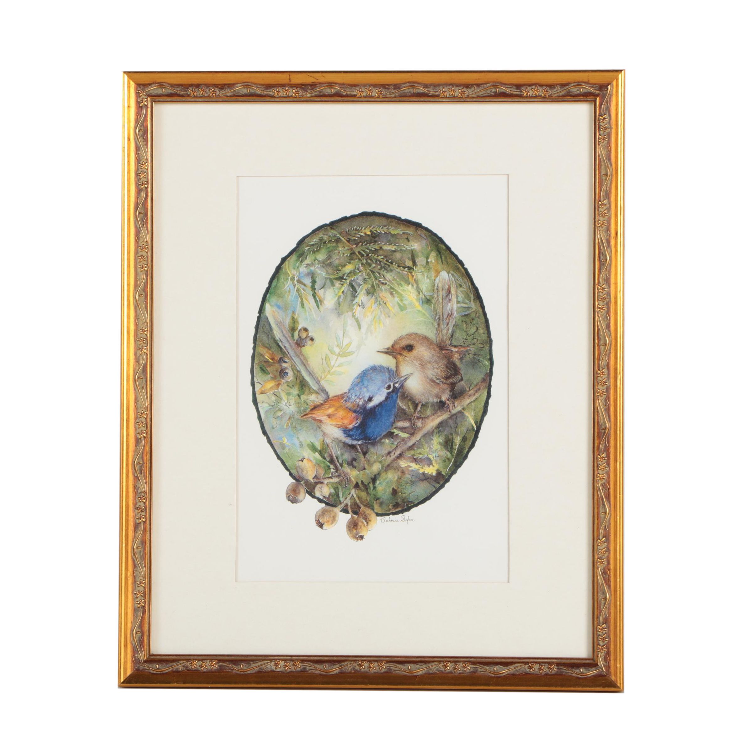 After Valerie Sefer Offset Lithograph Print "Red-Winged Fairy Wren"