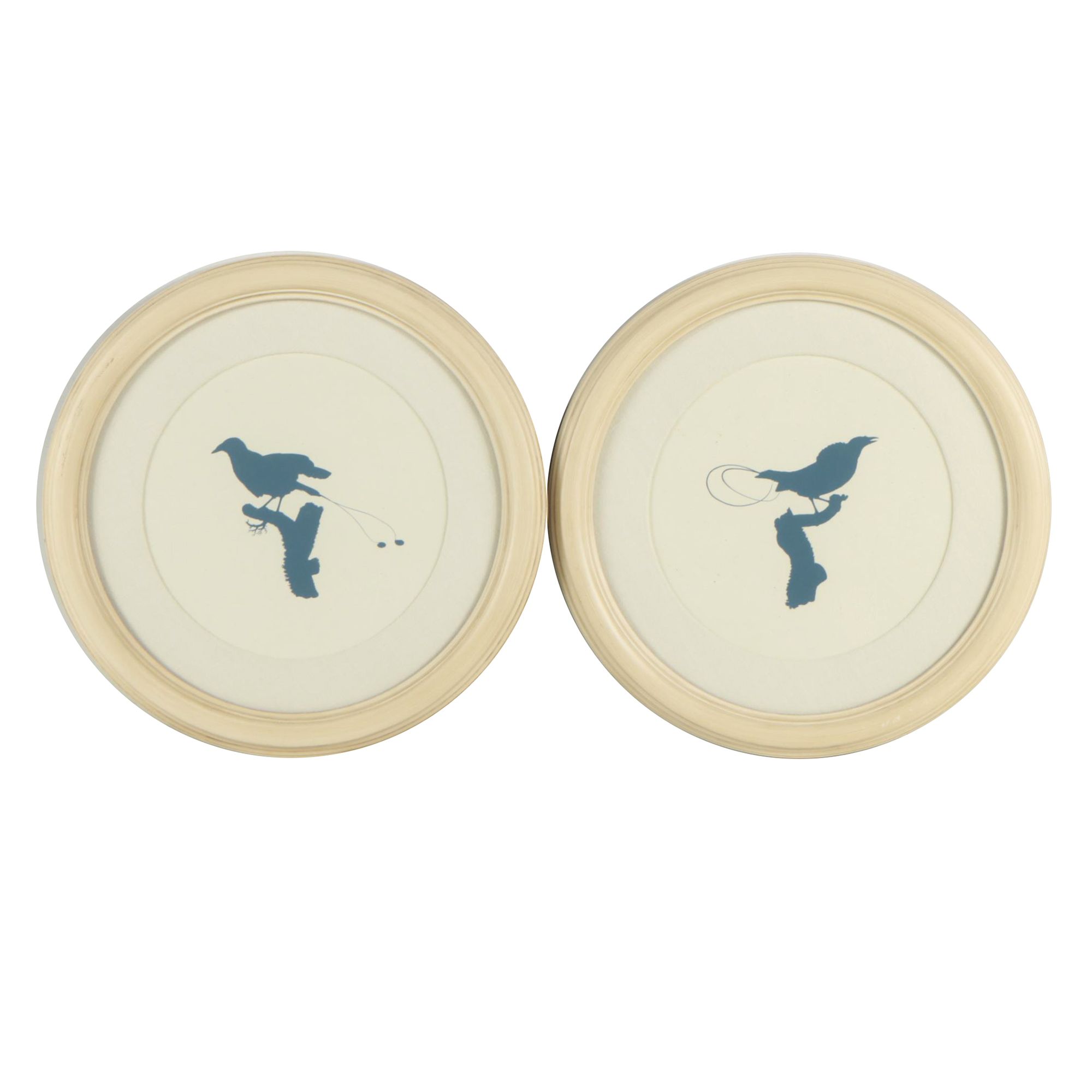 Natural Curiosities Lithographs "Westerley Birds"