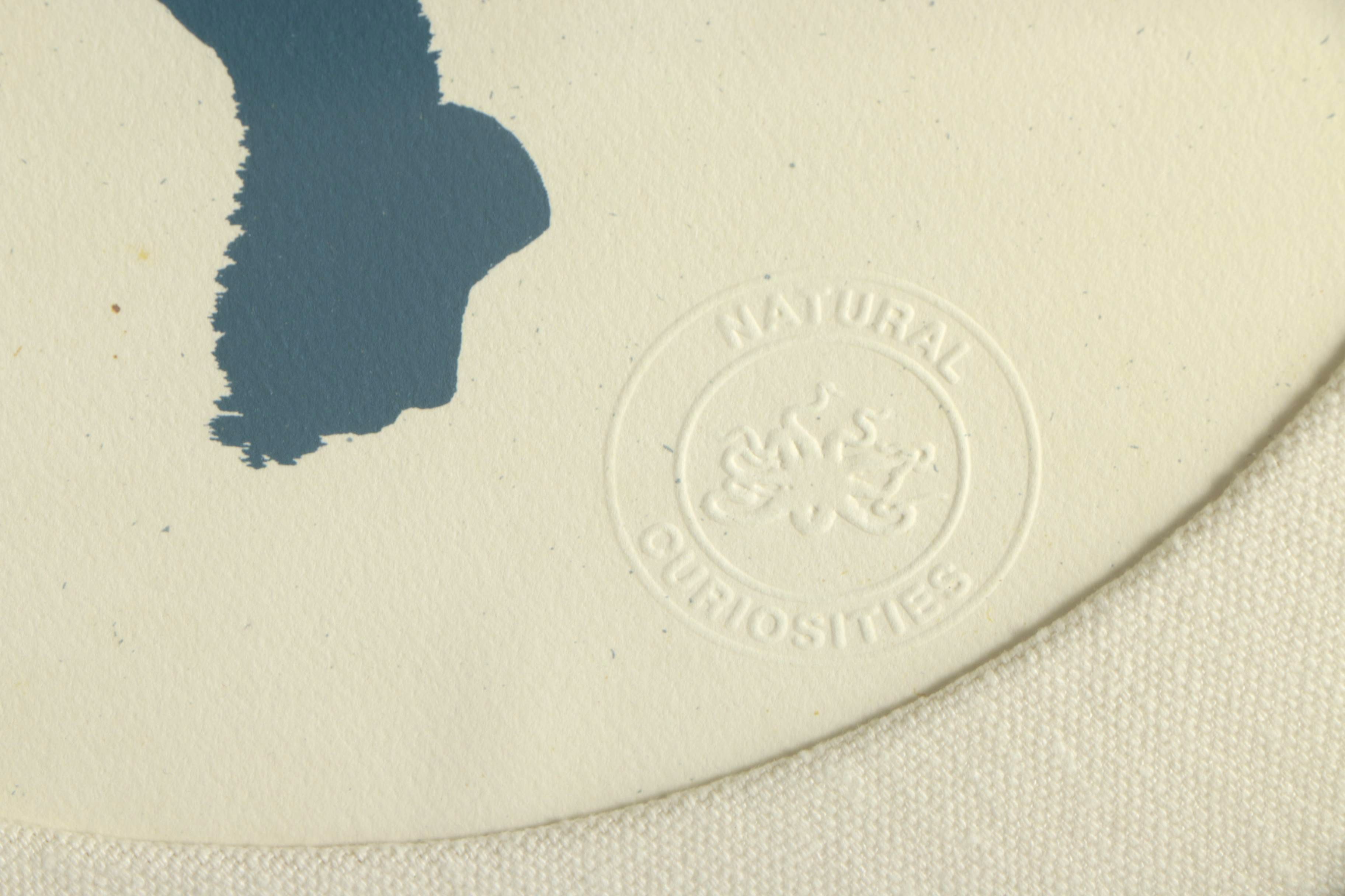 Natural Curiosities Lithographs "Westerley Birds"