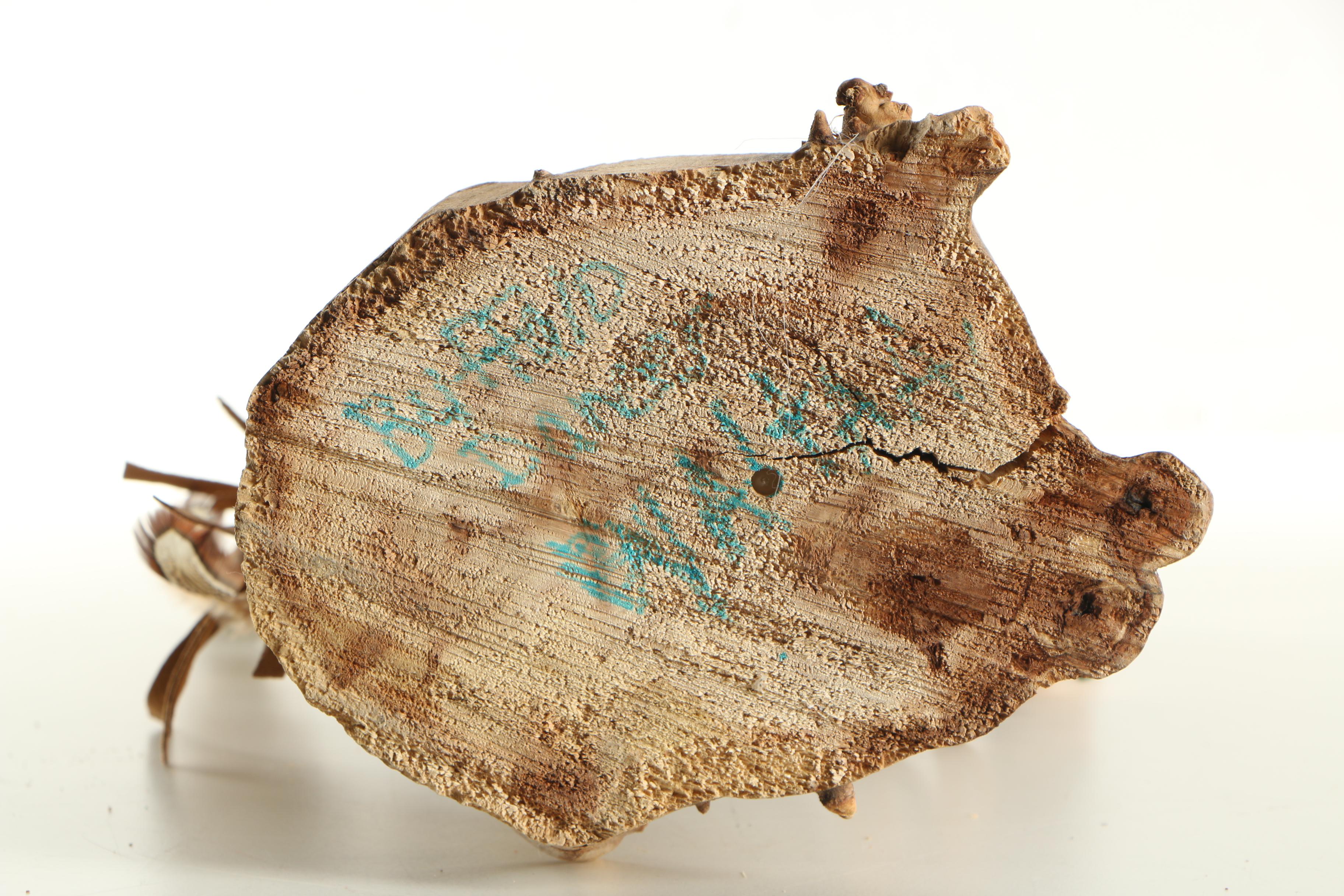 Buffalo Dancer Kachina Doll