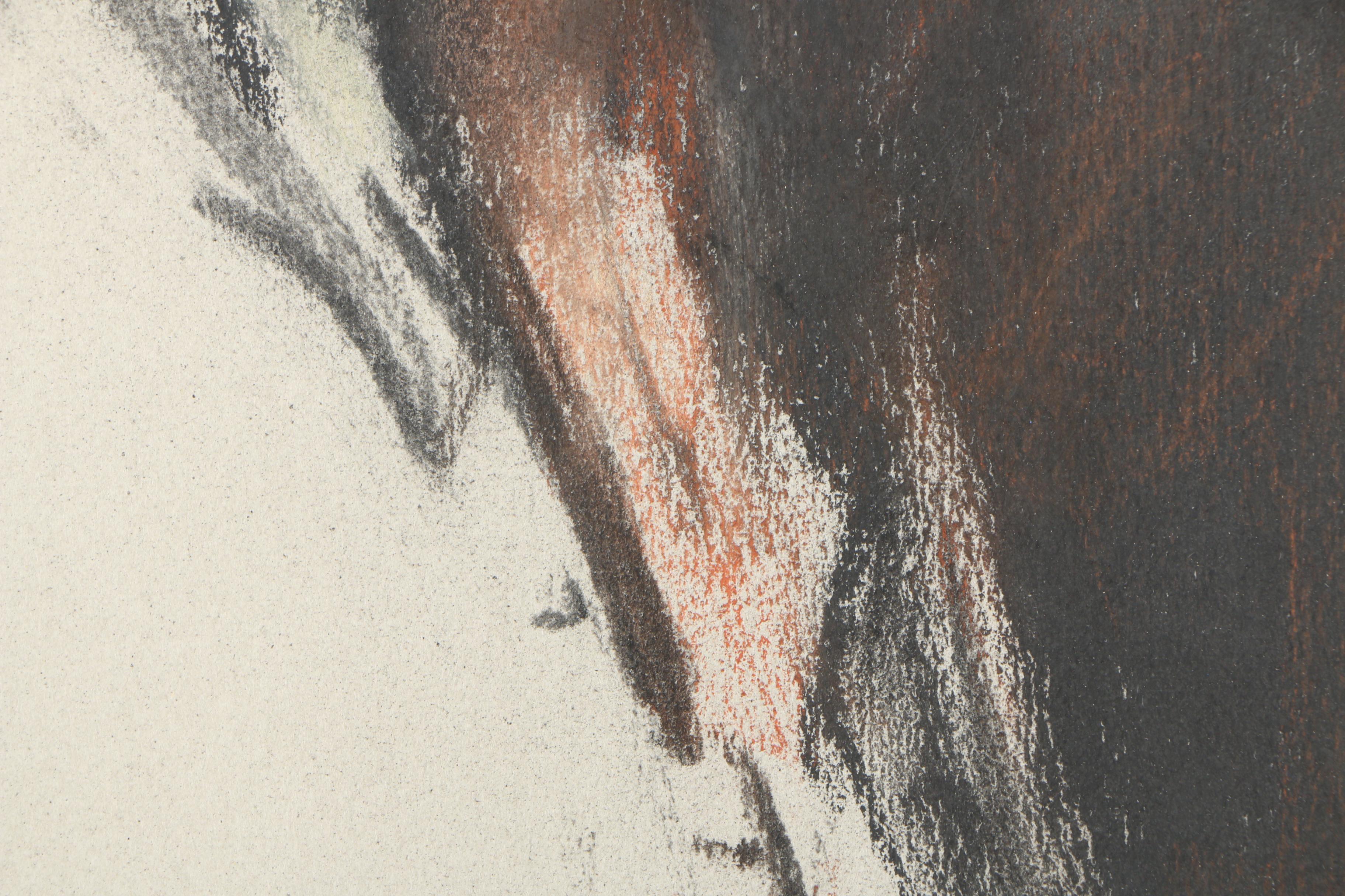 Carol Anderson Pastel Drawing