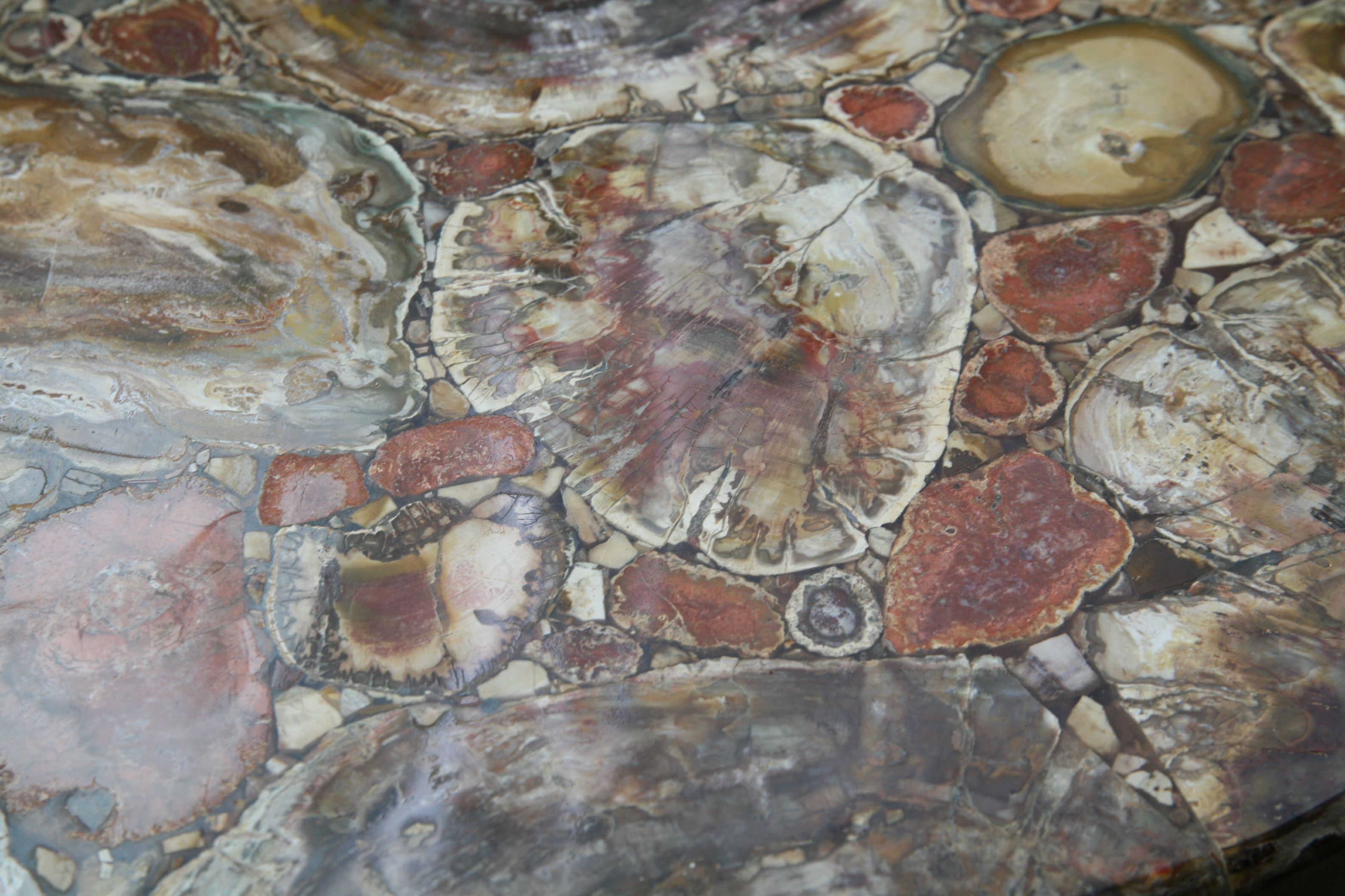 Petrified Wood Top Side Table