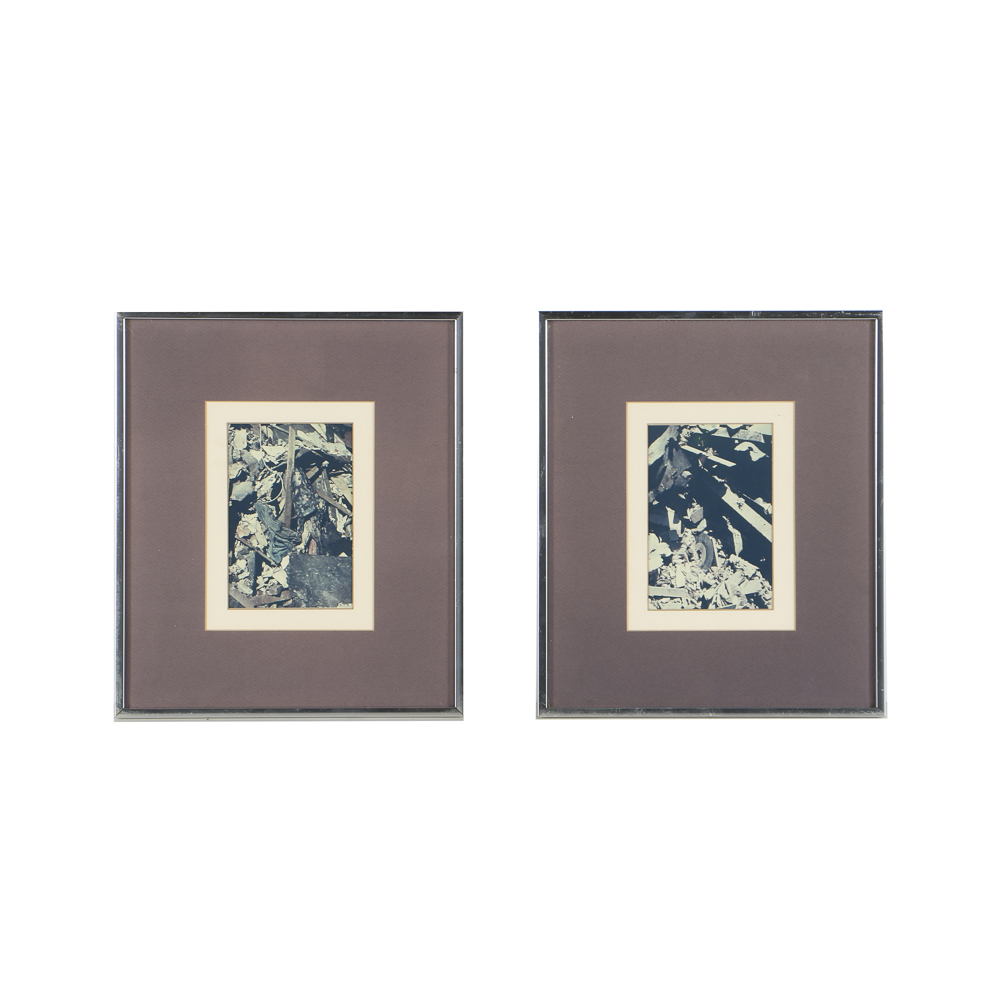 Pair of Color Photographs in Matching Frames