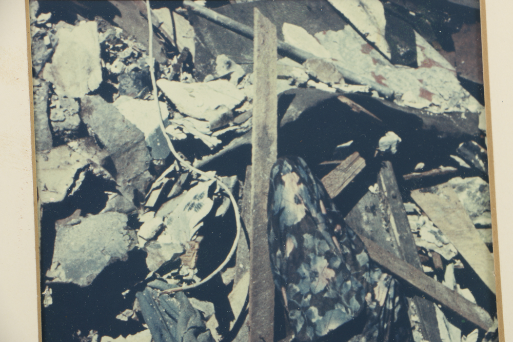 Pair of Color Photographs in Matching Frames