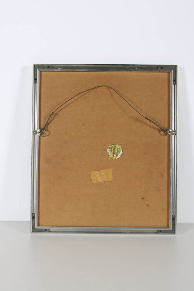 Pair of Color Photographs in Matching Frames