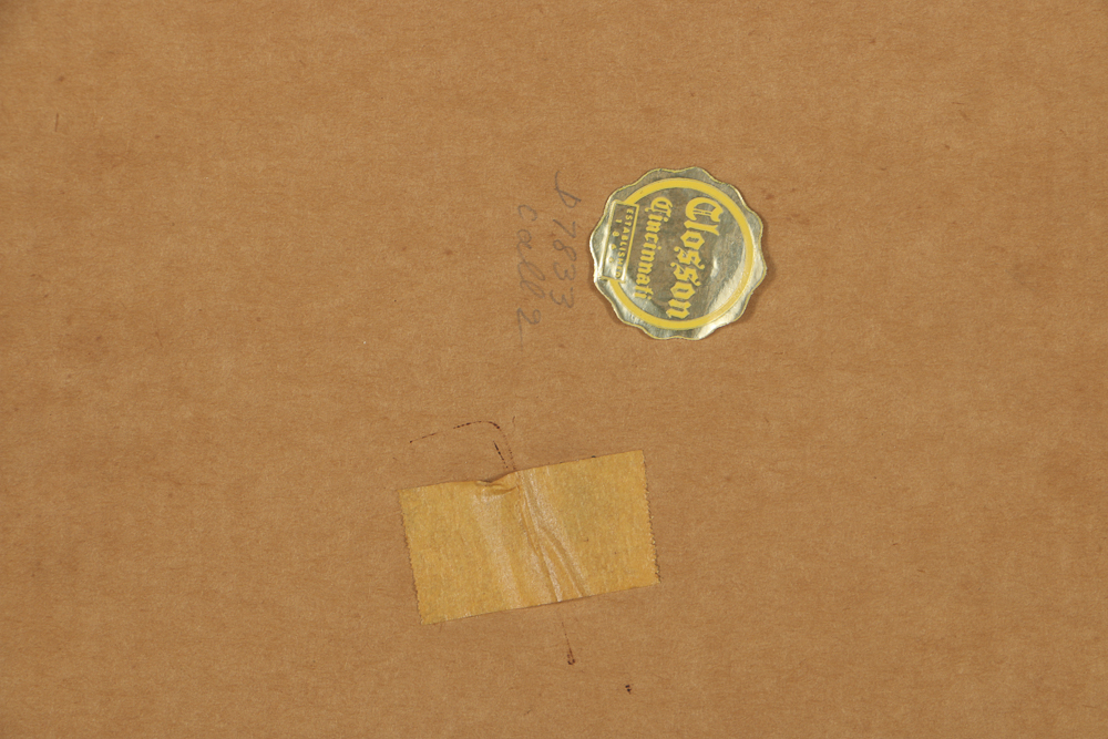 Pair of Color Photographs in Matching Frames