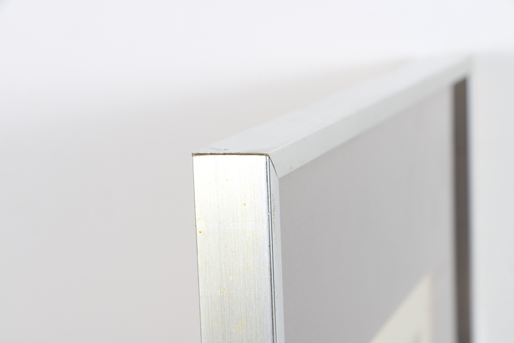 Pair of Color Photographs in Matching Frames