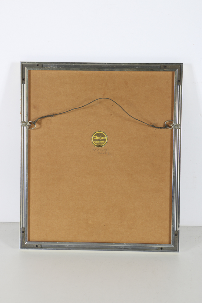 Pair of Color Photographs in Matching Frames