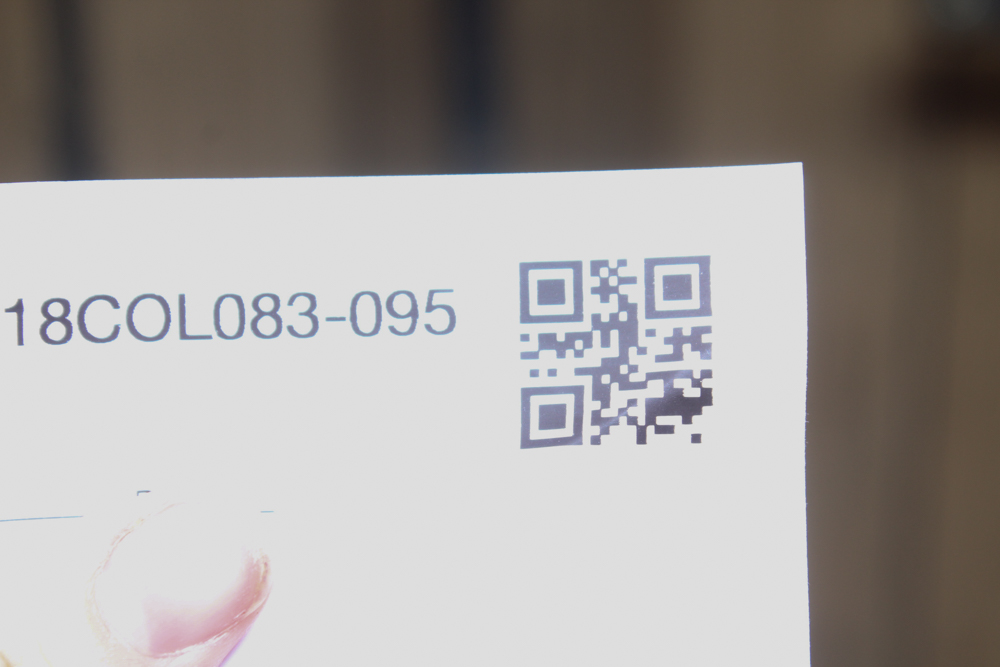 Antique Minnesota Model B Treadle Sewing Machine