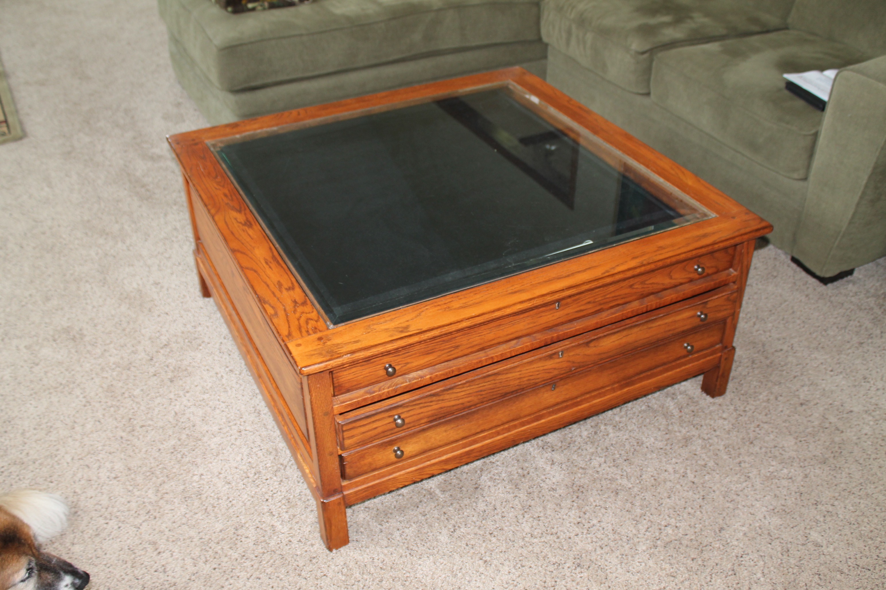 Contemporary Glass Top Display Coffee Table