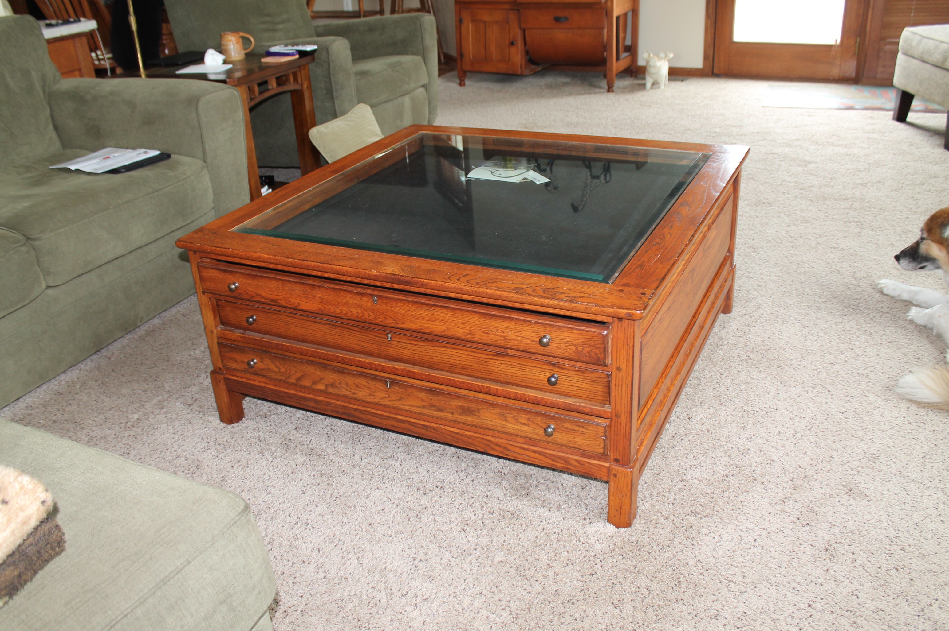 Contemporary Glass Top Display Coffee Table
