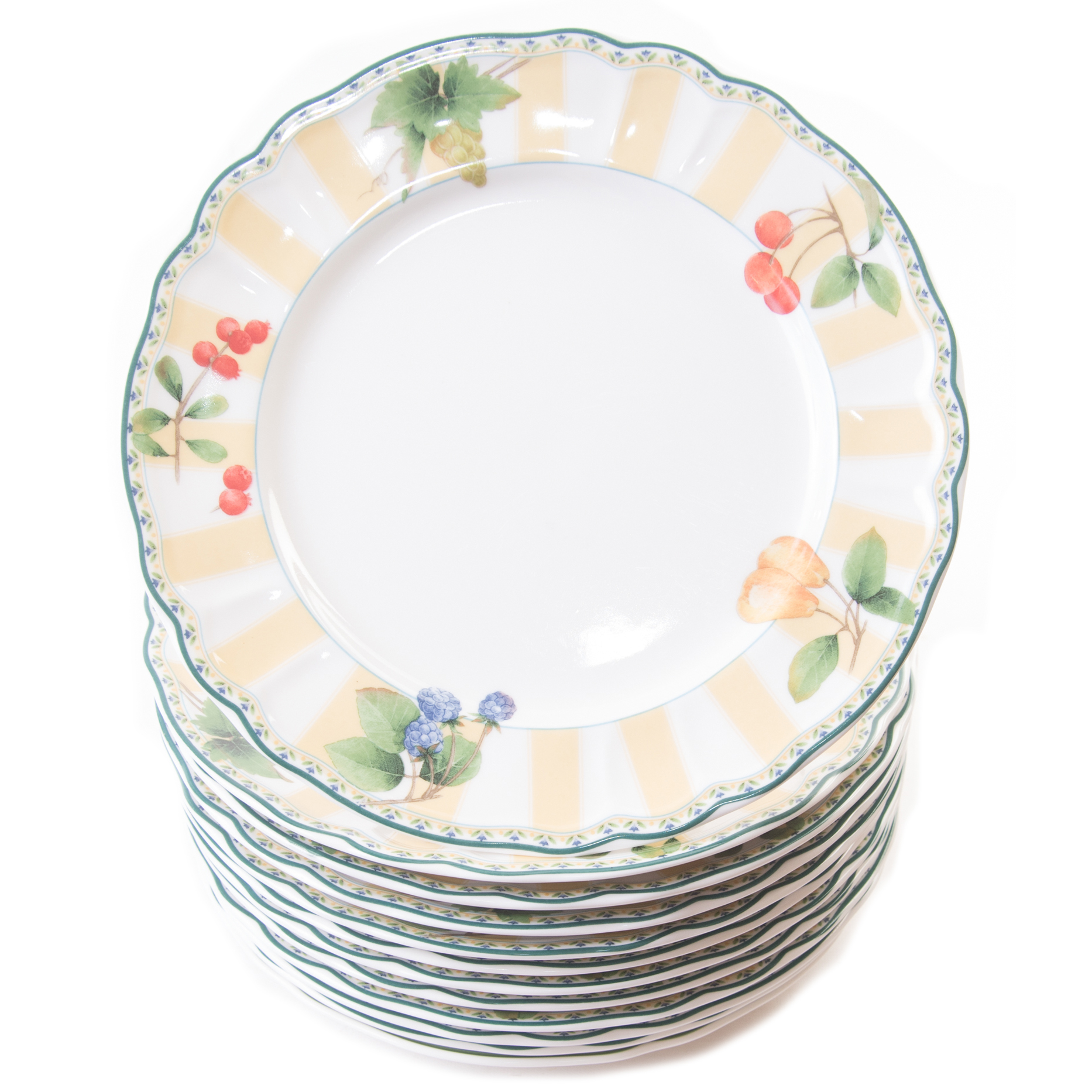 Epoch Collection "Orchard Valley" Dinner Plates