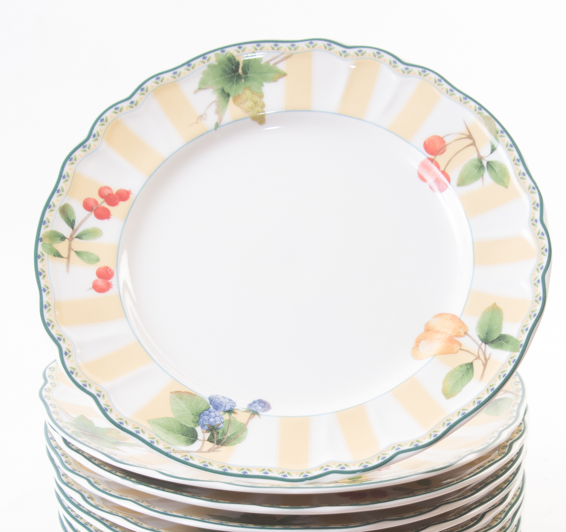 Epoch Collection "Orchard Valley" Dinner Plates