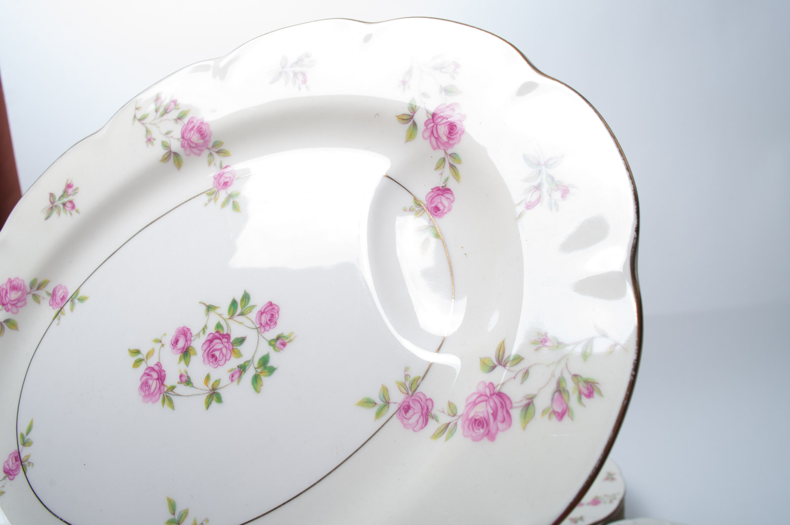 Vintage Theodore Haviland New York "Delaware" Dinnerware