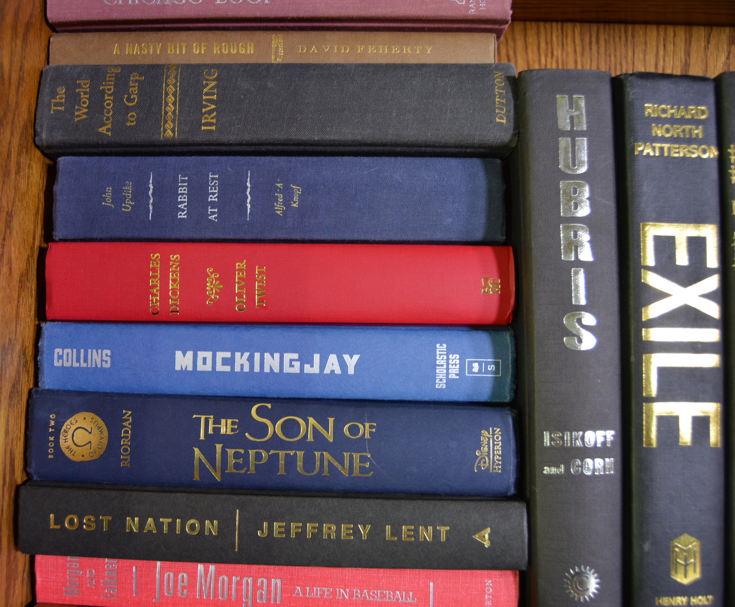 Large Hardcover Book Collection