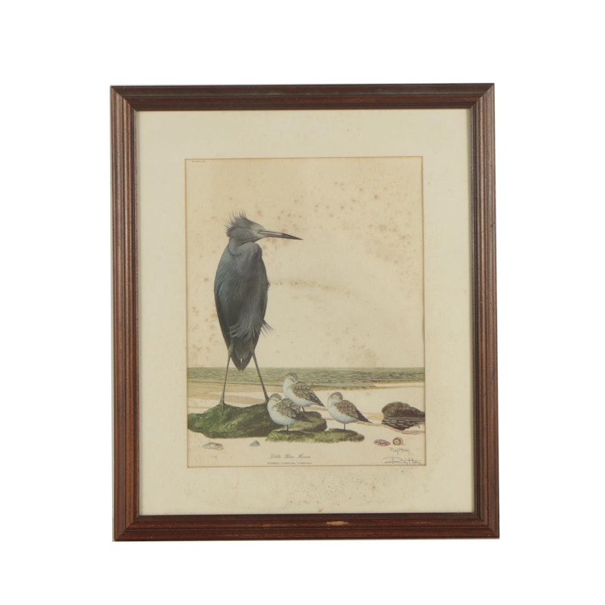 Ray Harm Offset Lithograph "Little Blue Heron"