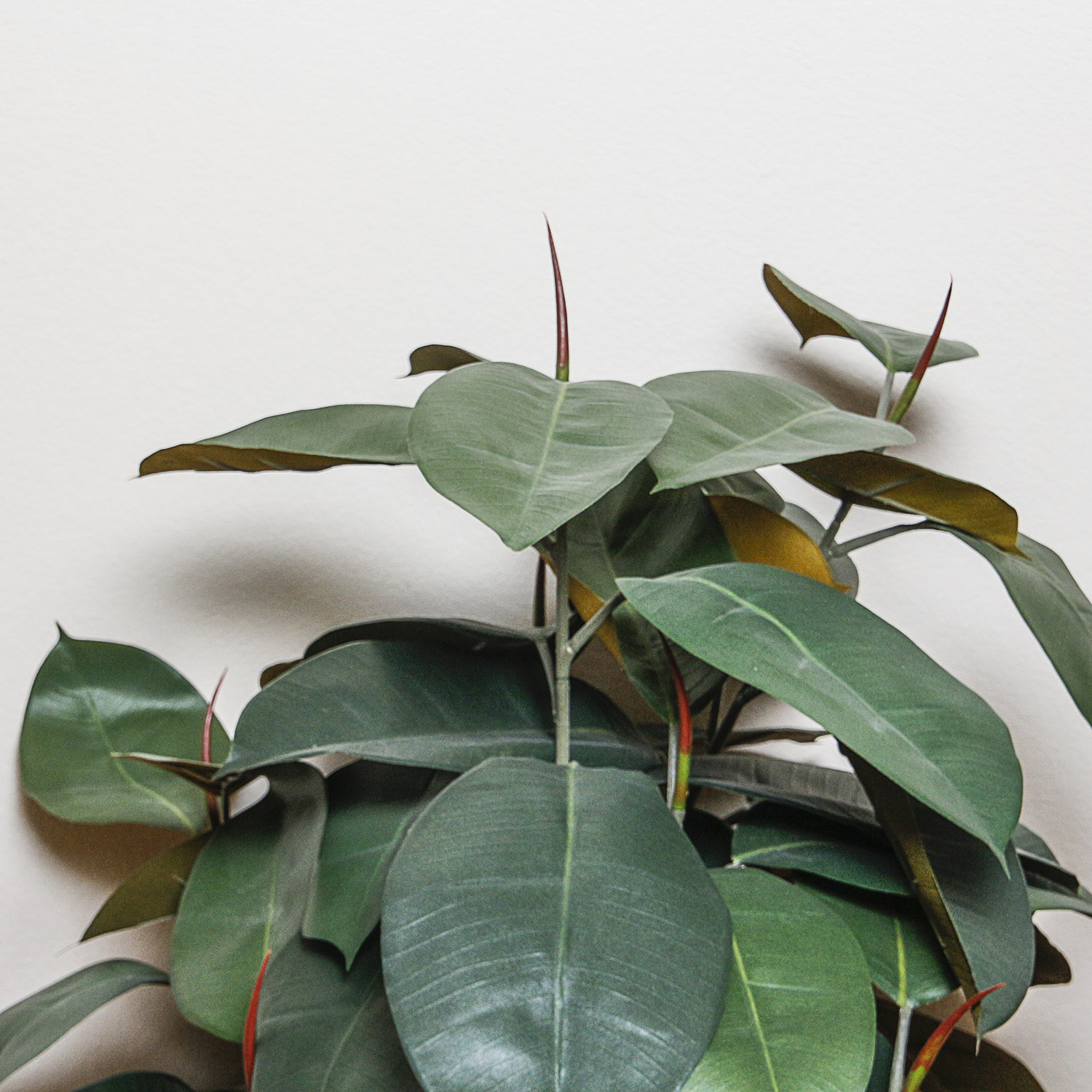 Artificial Plant With Basket