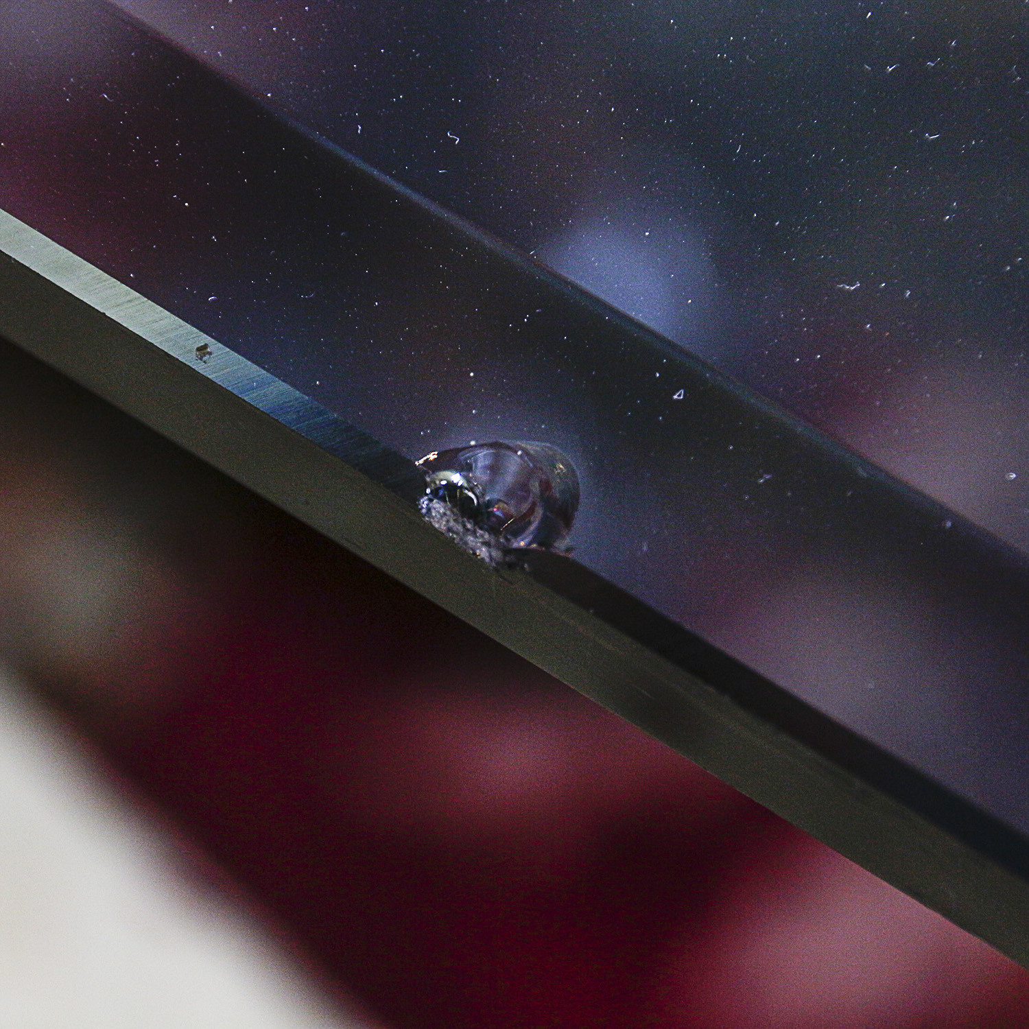 Neoclassical Style Glass Top Dining Table