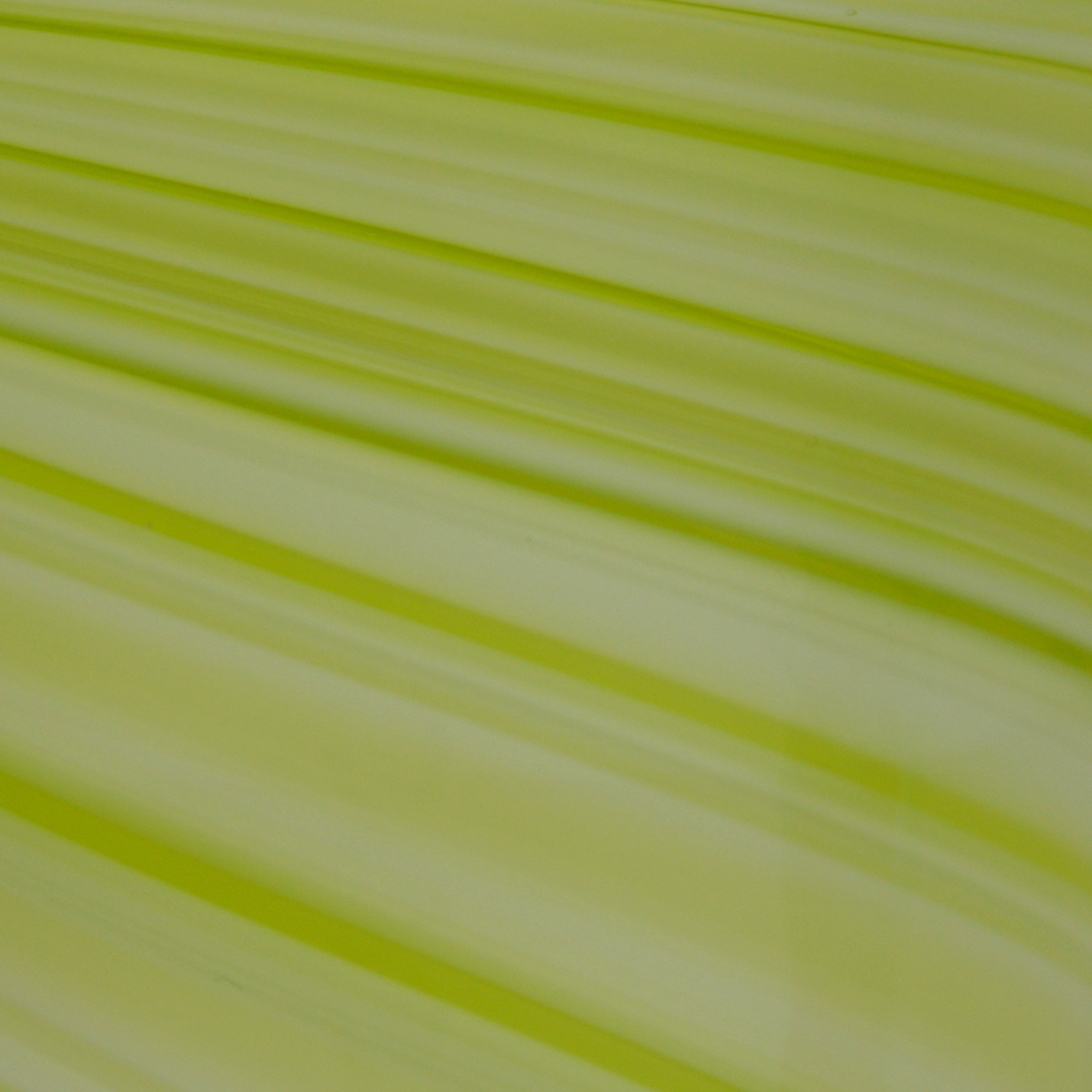 Lime Green Art Glass Vase