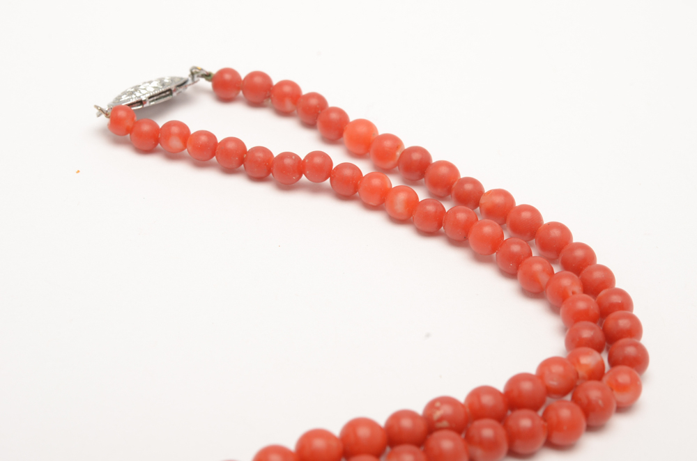 Assortment of Costume Jewelry Including Tory Burch