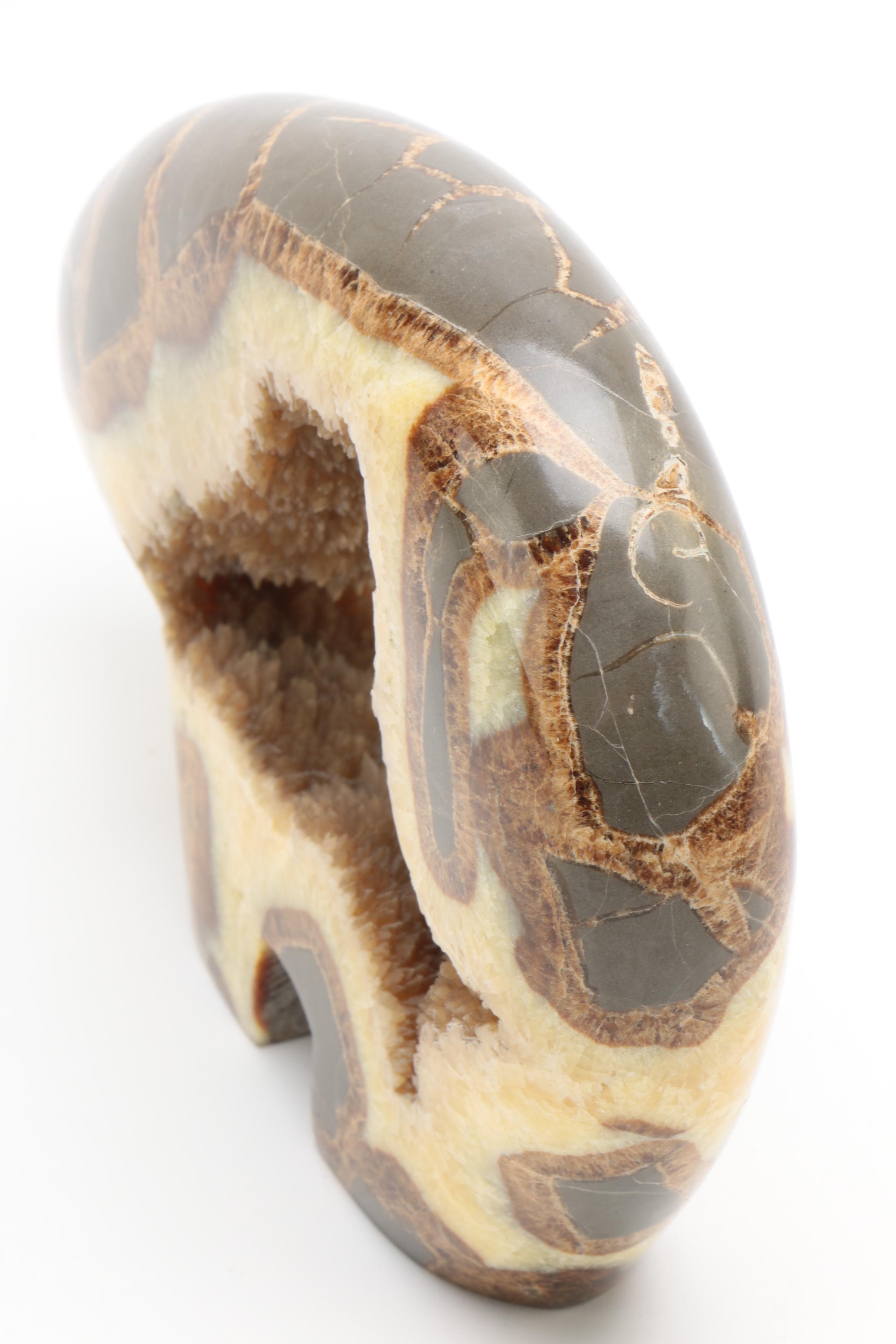 Carved Septarian Nodule Geode Bear