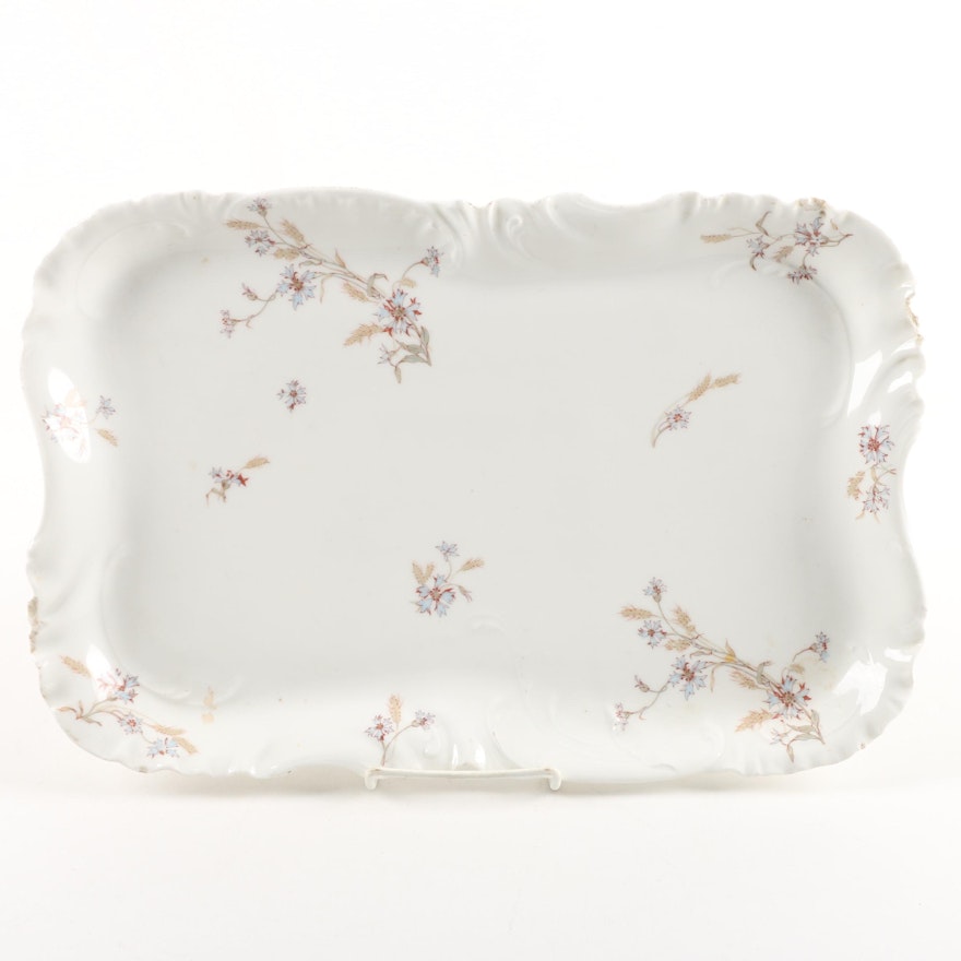 1893-96 Haviland Limoges Porcelain Platter