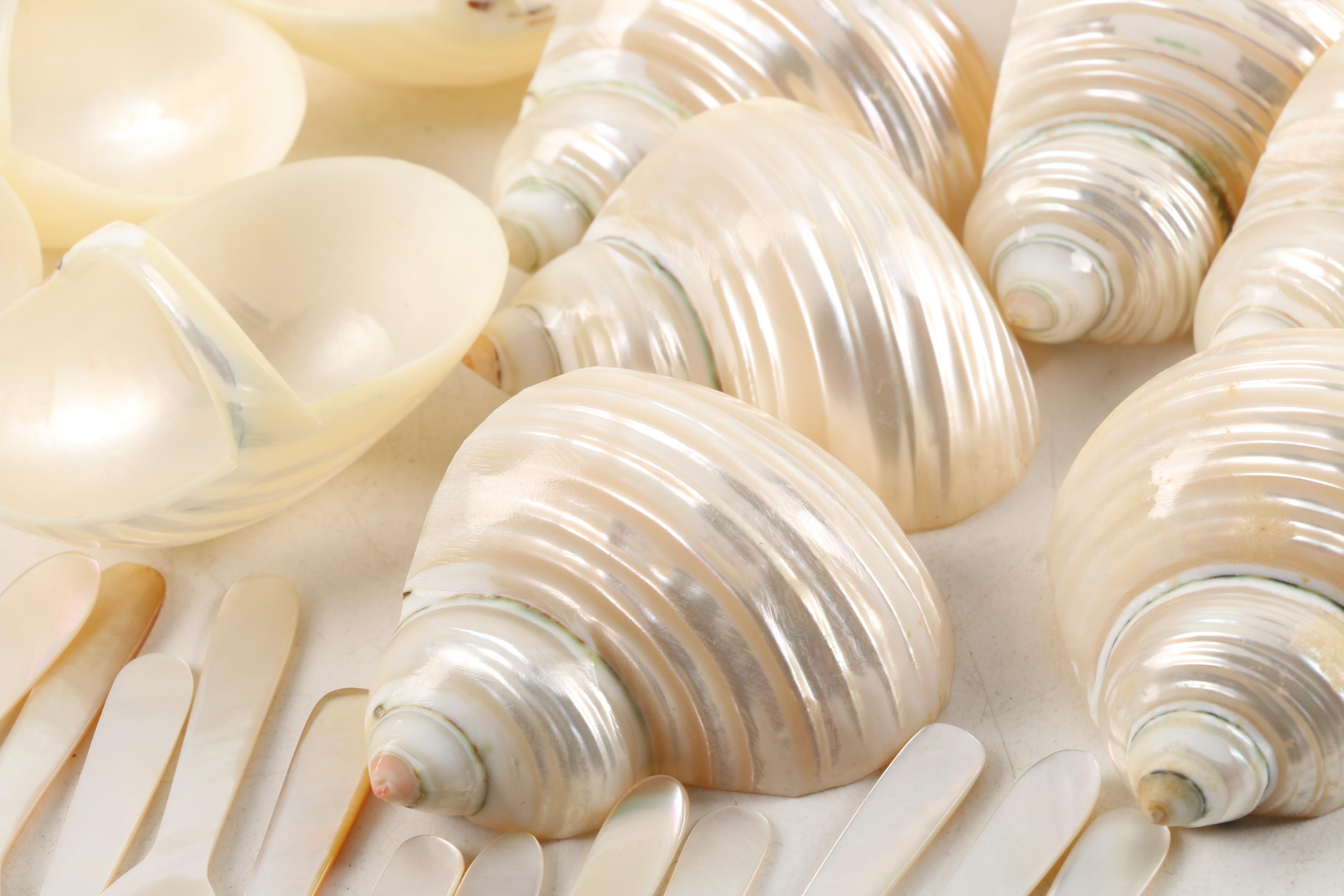 Gastropod Shell Napkin Rings and Salt Cellars