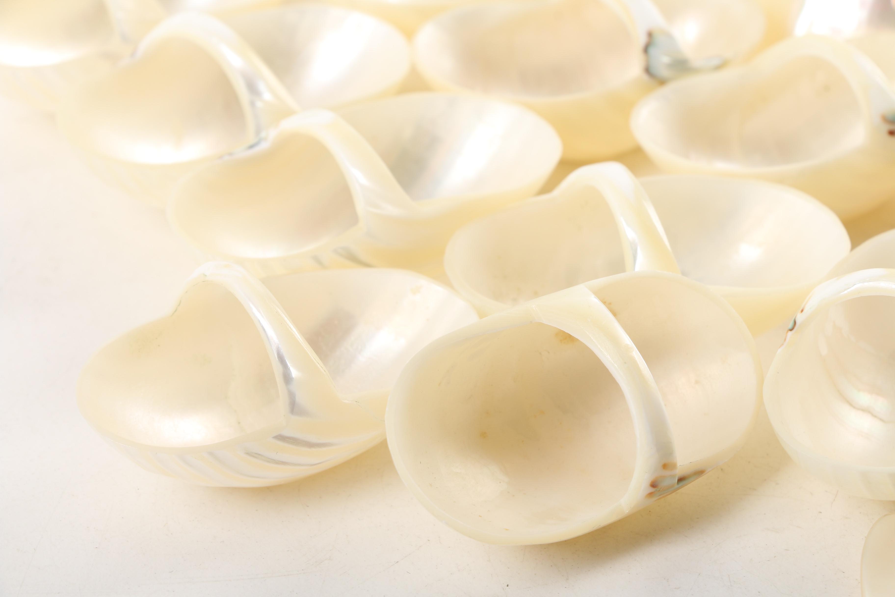 Gastropod Shell Napkin Rings and Salt Cellars