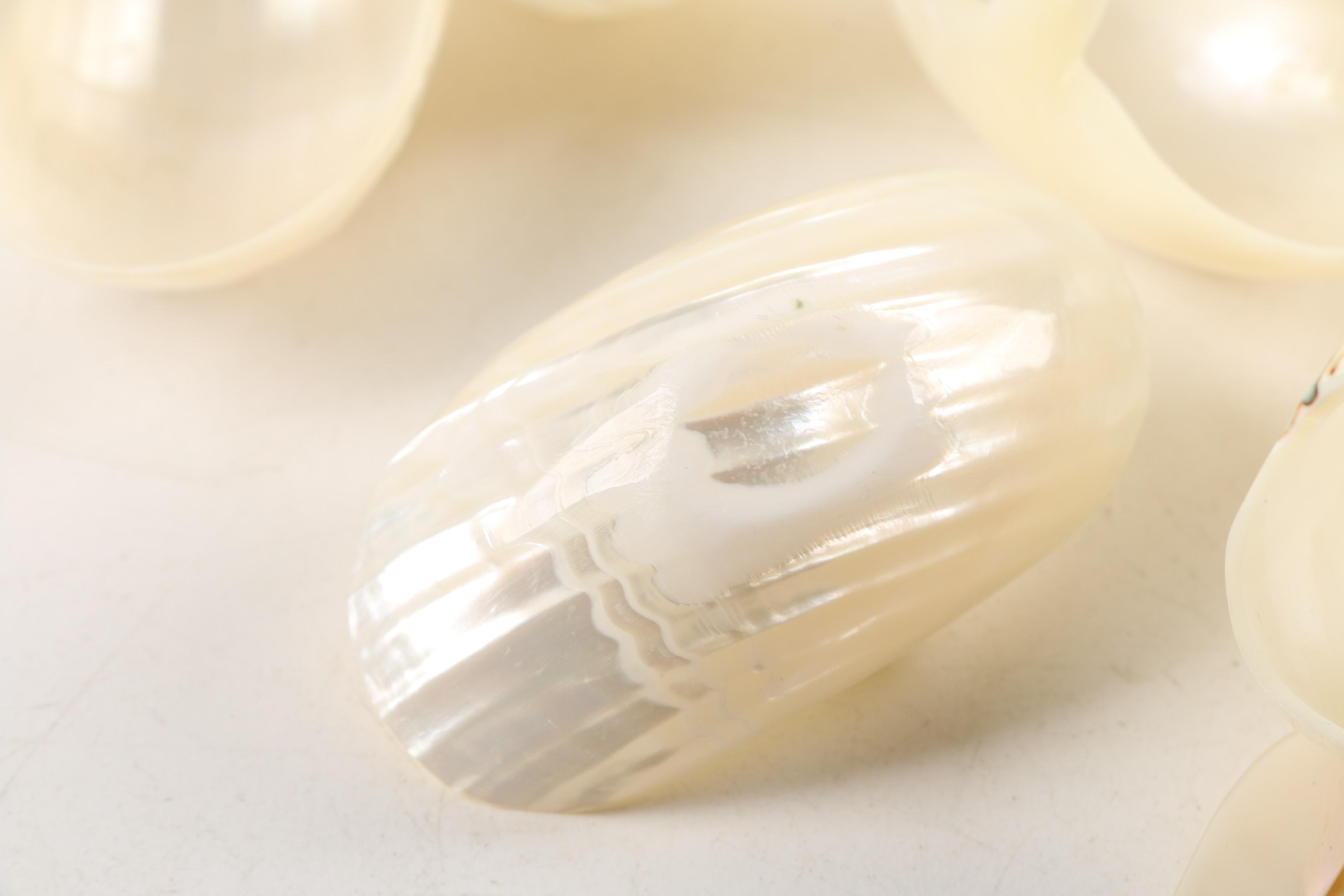 Gastropod Shell Napkin Rings and Salt Cellars