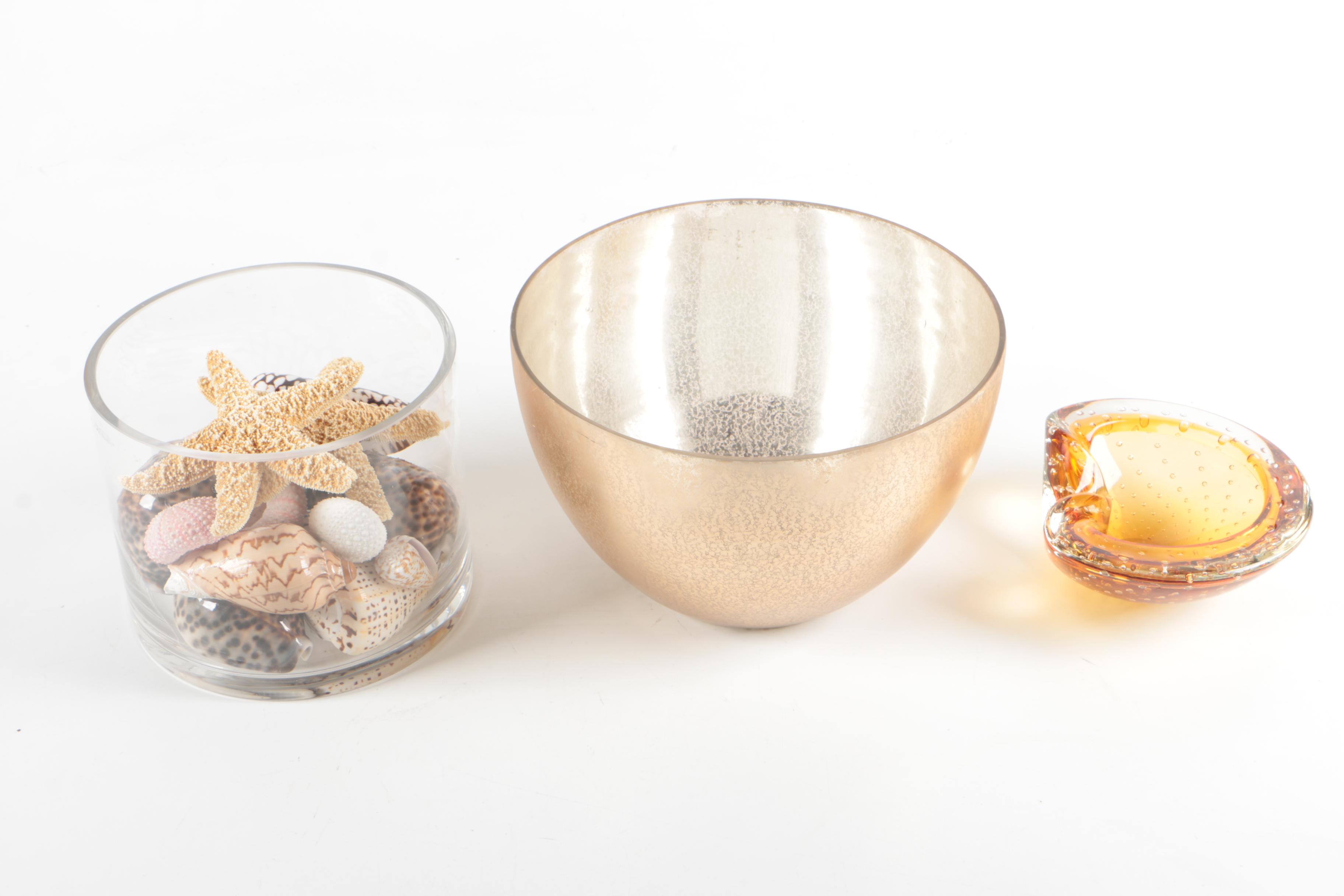 Recent Marine Fossil Specimens with Glass Bowls