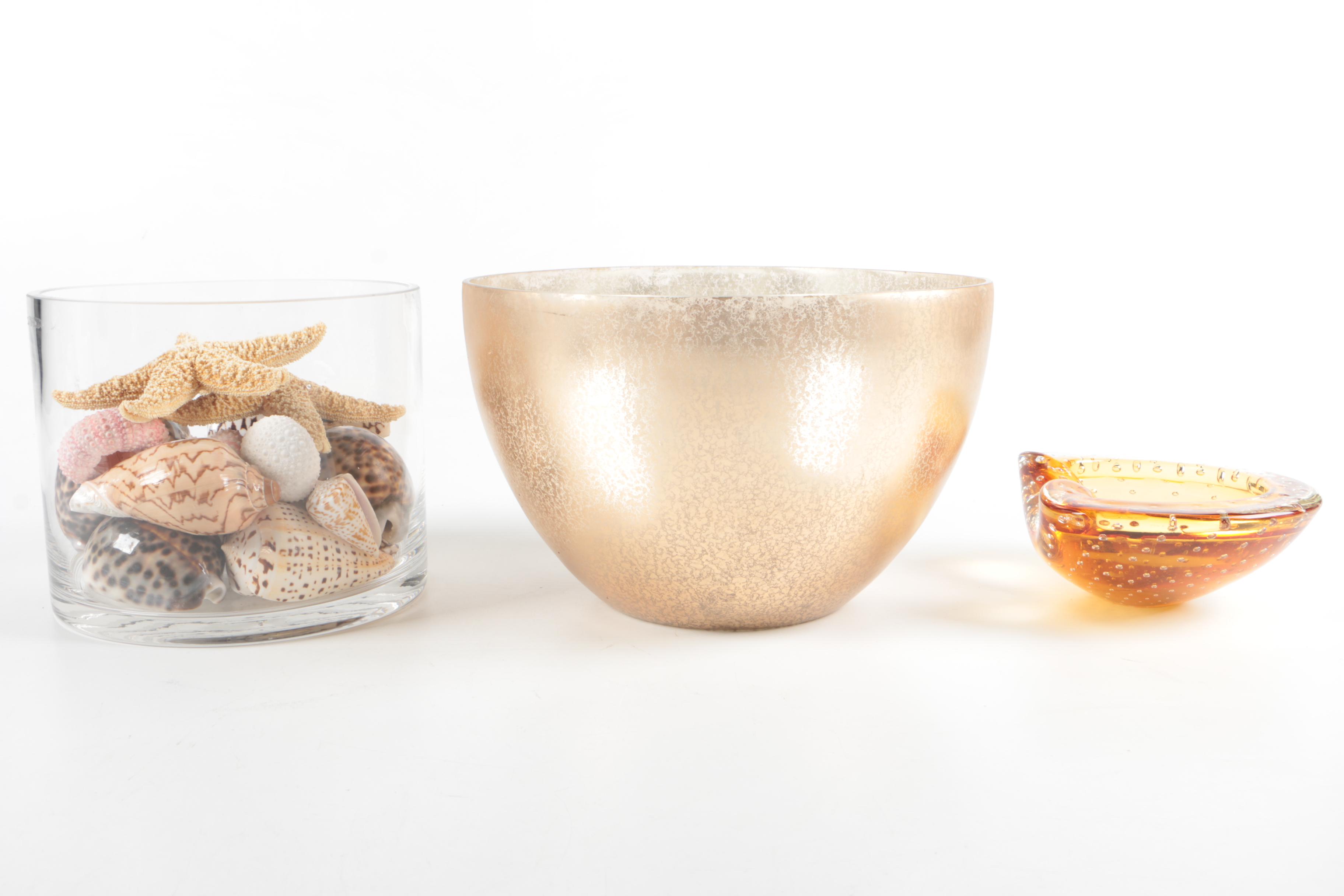 Recent Marine Fossil Specimens with Glass Bowls