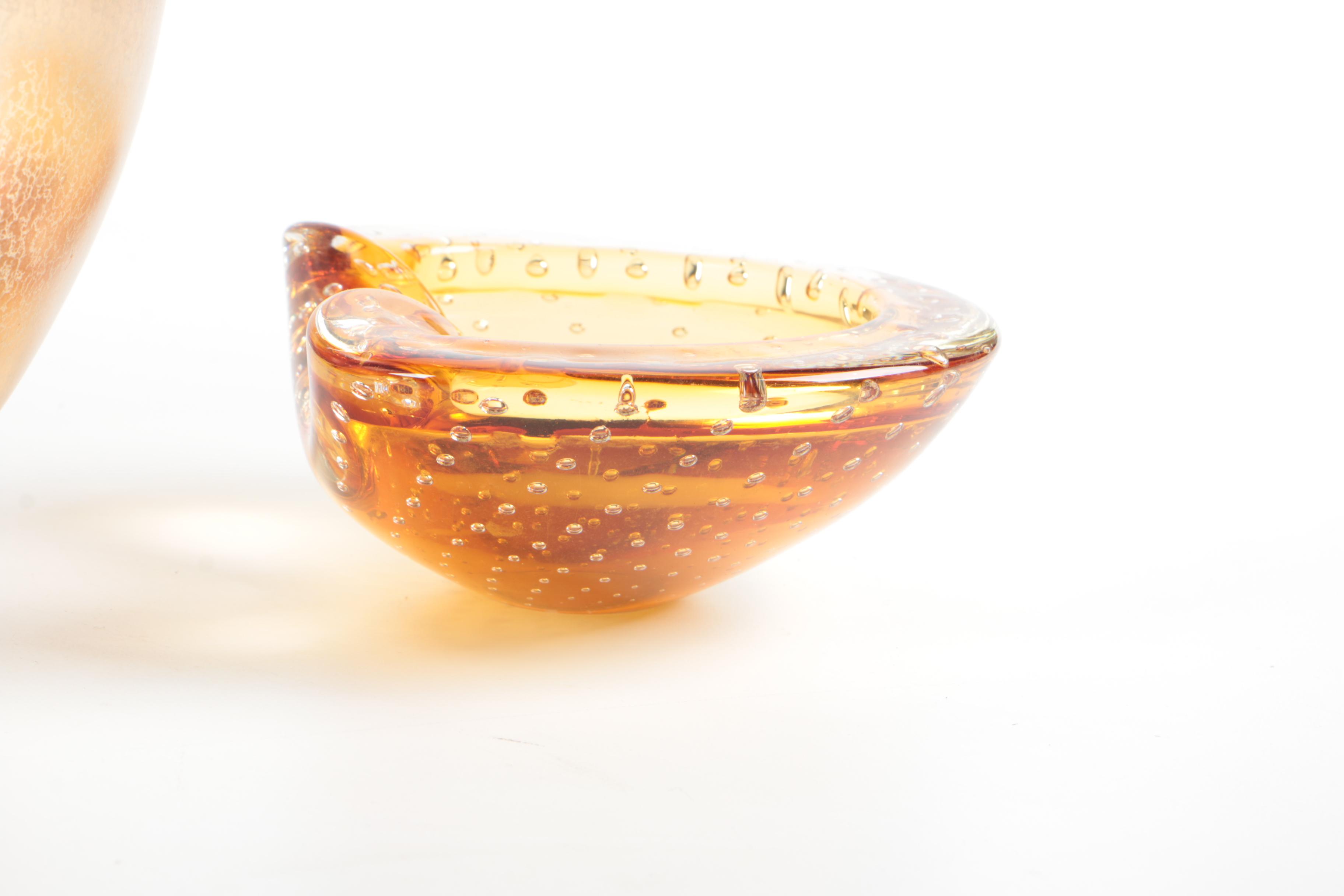 Recent Marine Fossil Specimens with Glass Bowls