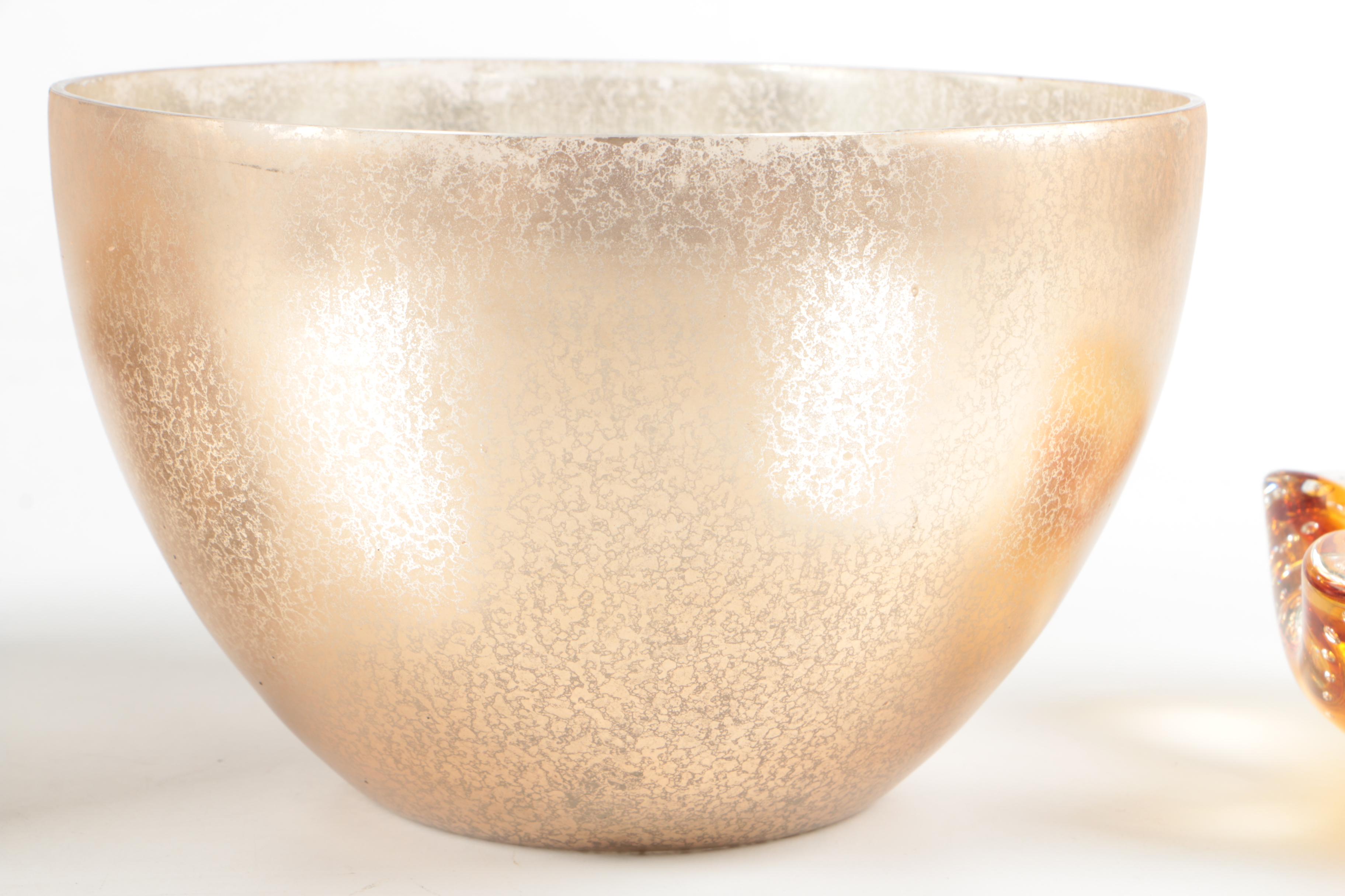 Recent Marine Fossil Specimens with Glass Bowls