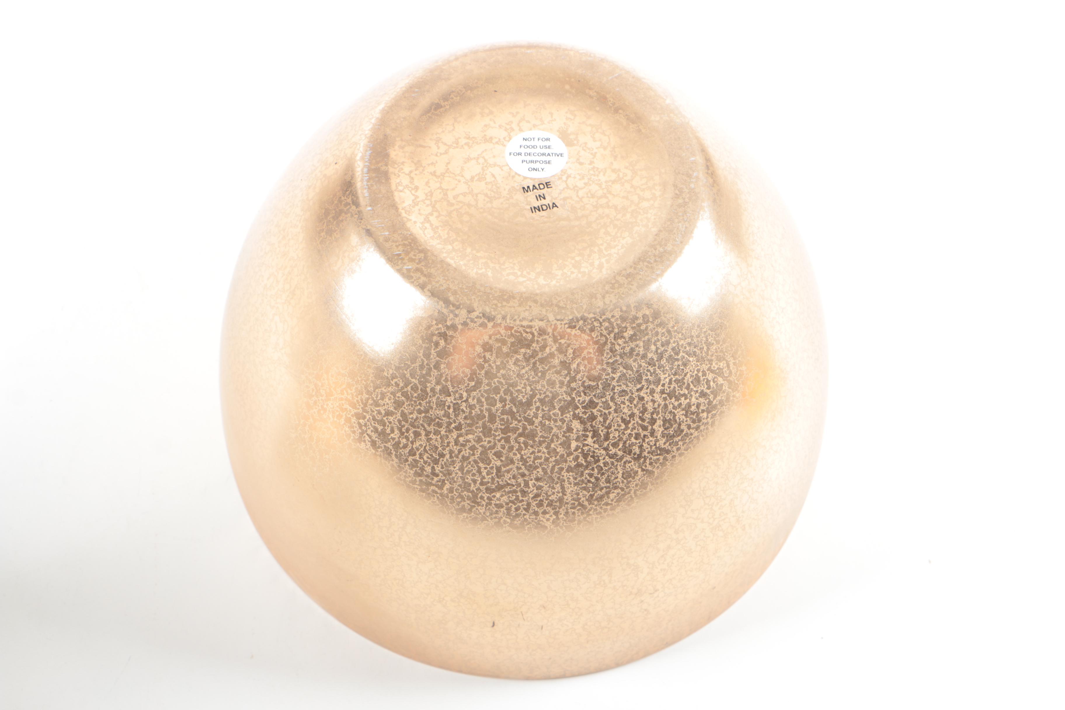 Recent Marine Fossil Specimens with Glass Bowls