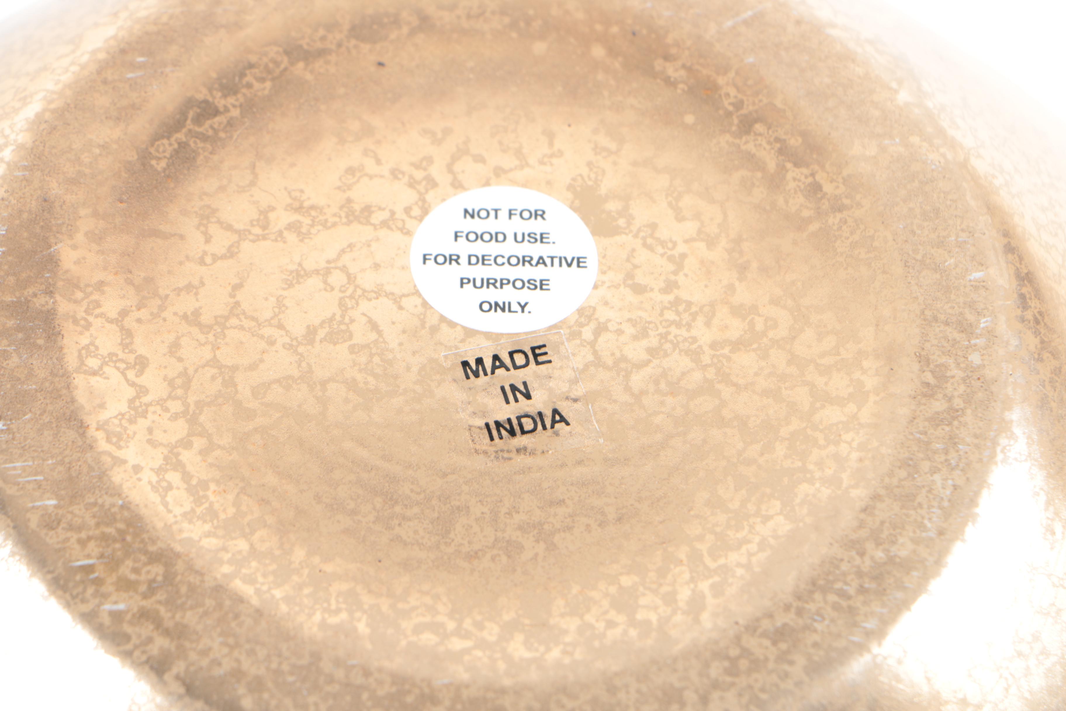 Recent Marine Fossil Specimens with Glass Bowls