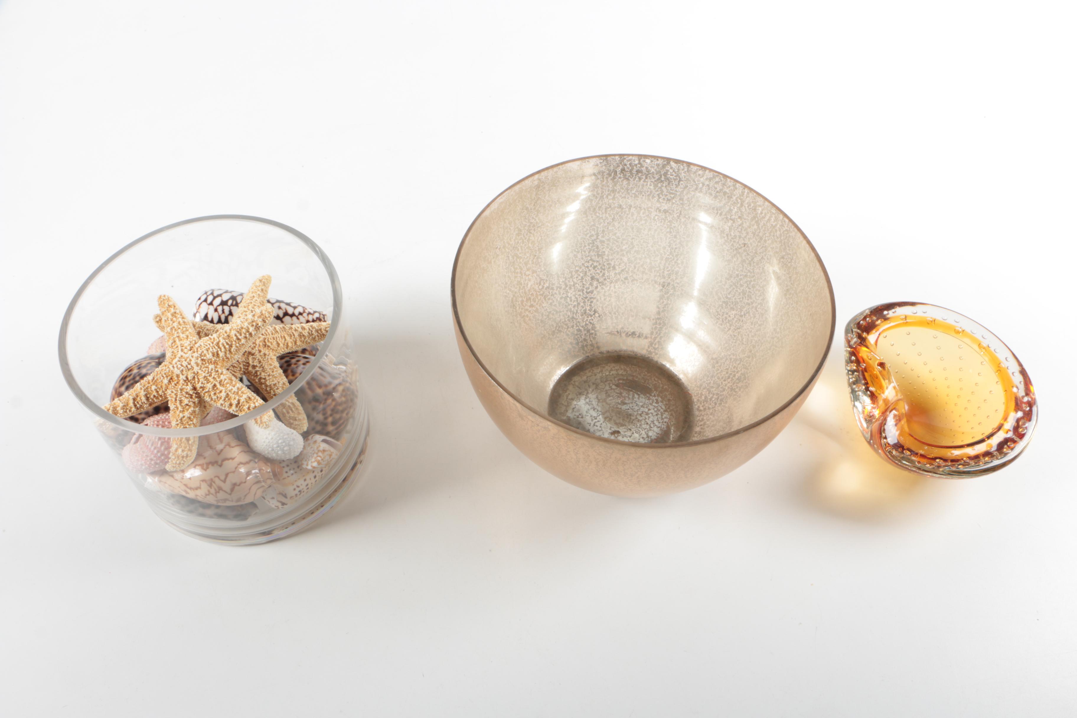 Recent Marine Fossil Specimens with Glass Bowls