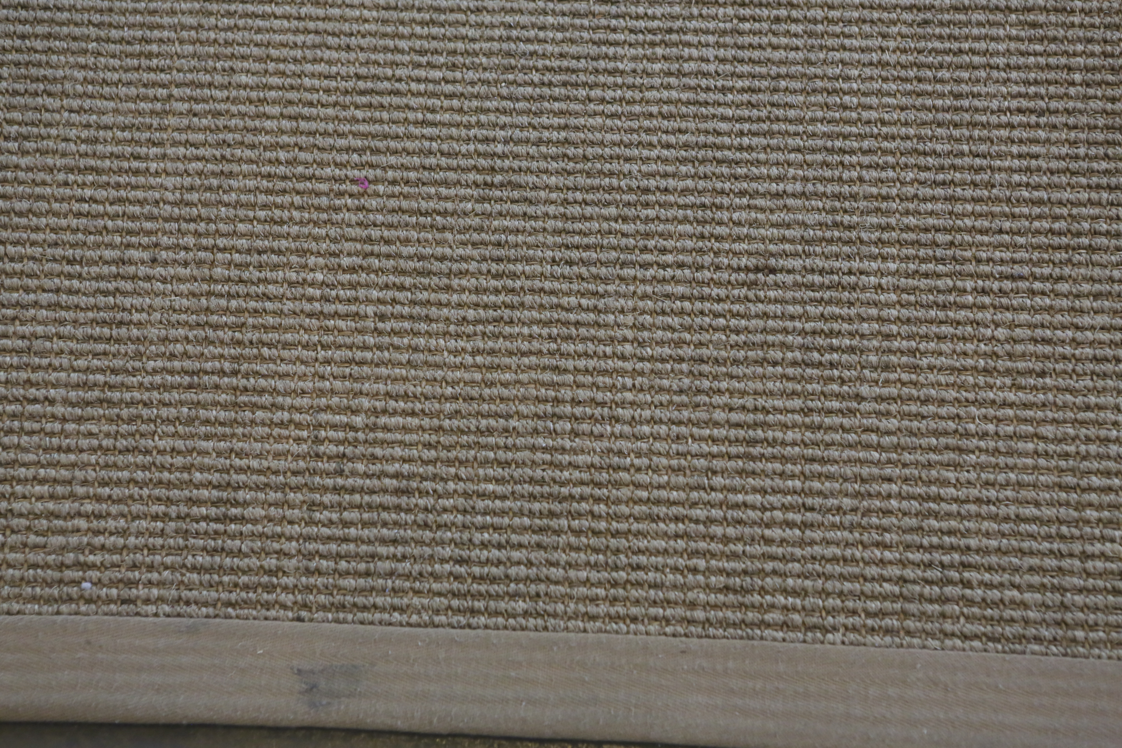 Pottery Barn Sisal Area Rug
