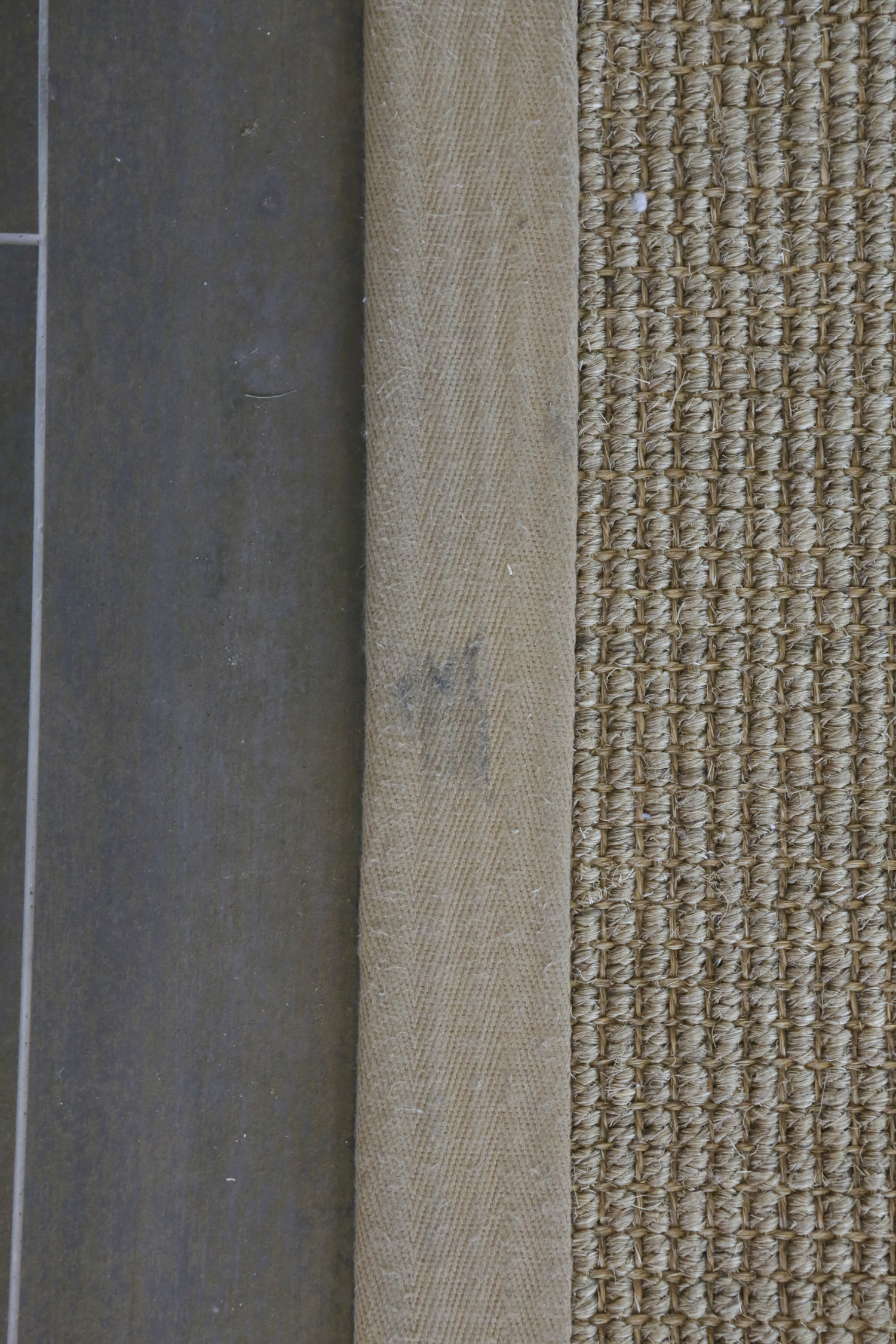 Pottery Barn Sisal Area Rug