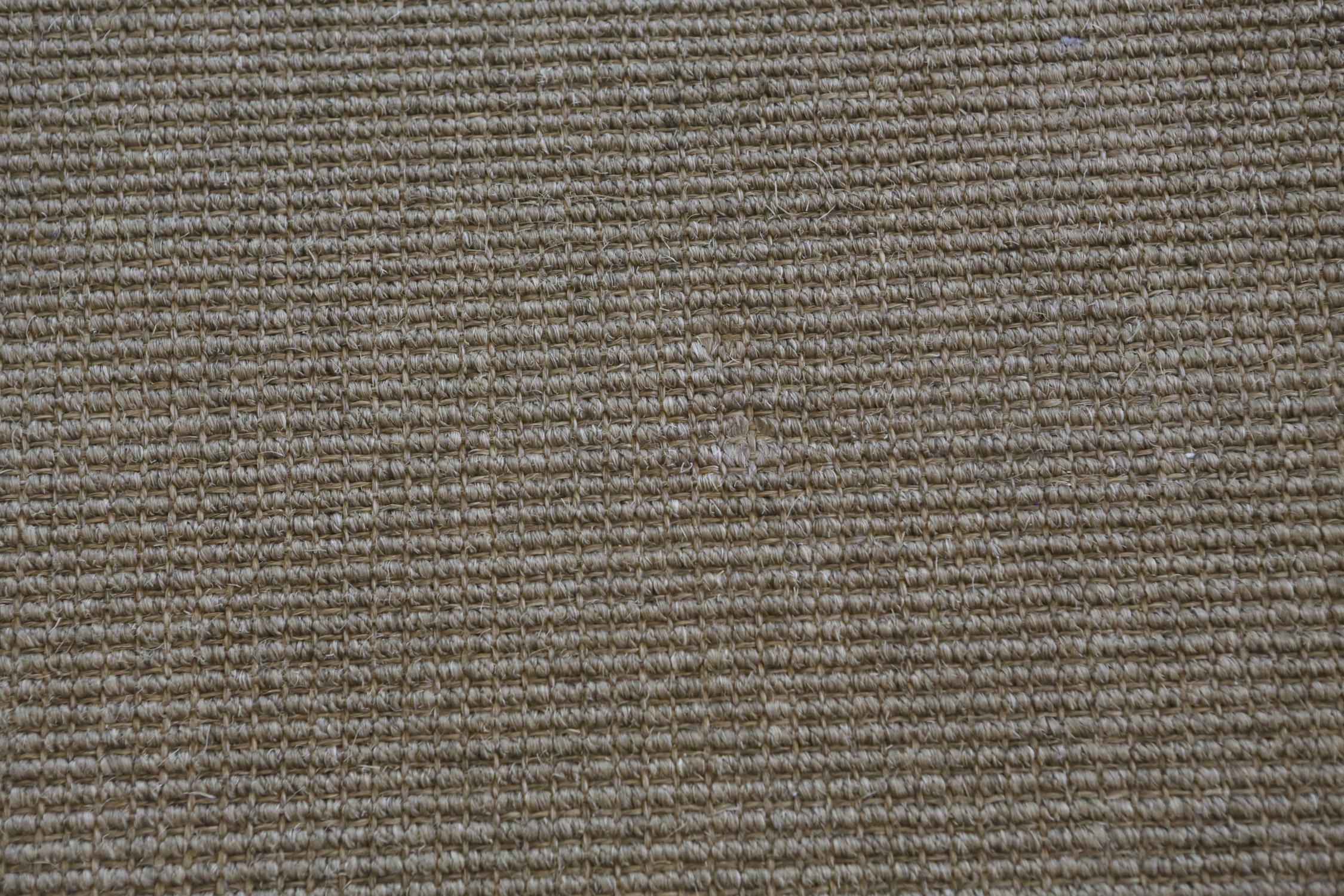 Pottery Barn Sisal Area Rug