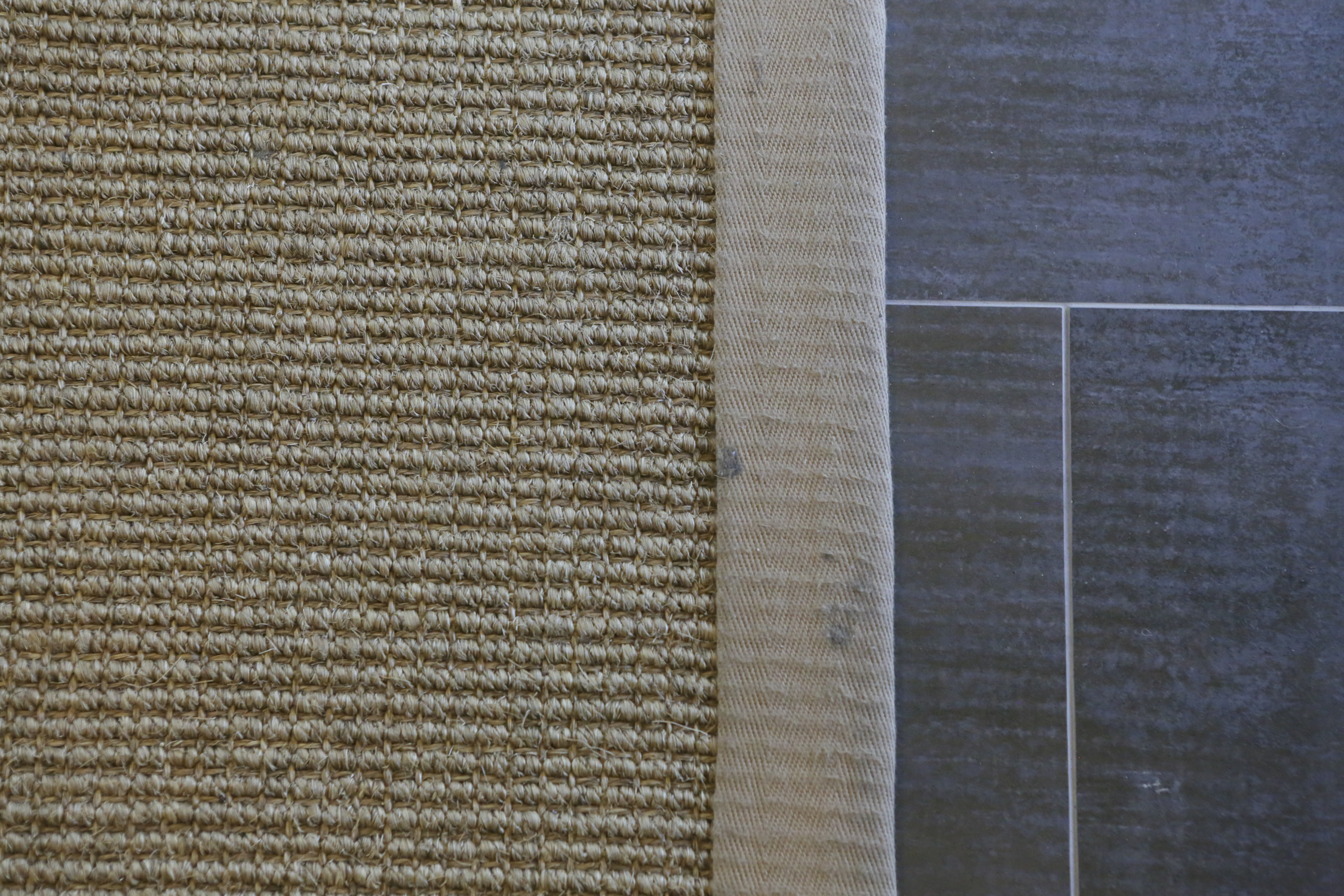 Pottery Barn Sisal Area Rug