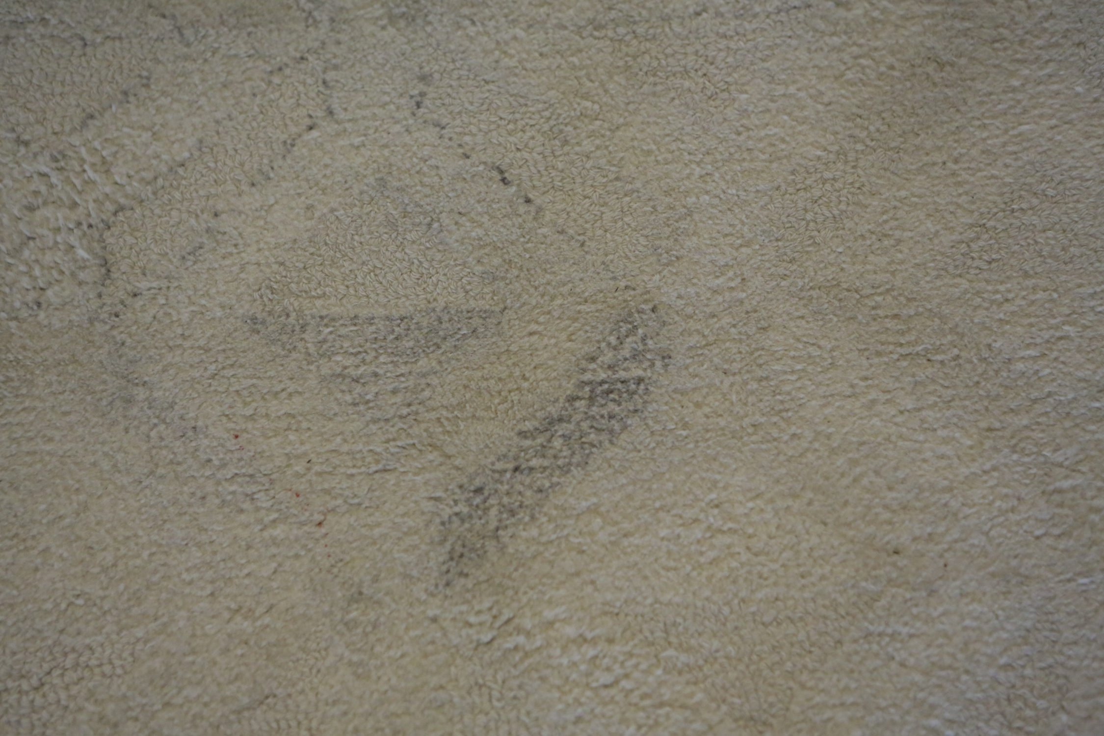 West Elm "Marquis" Area Rug