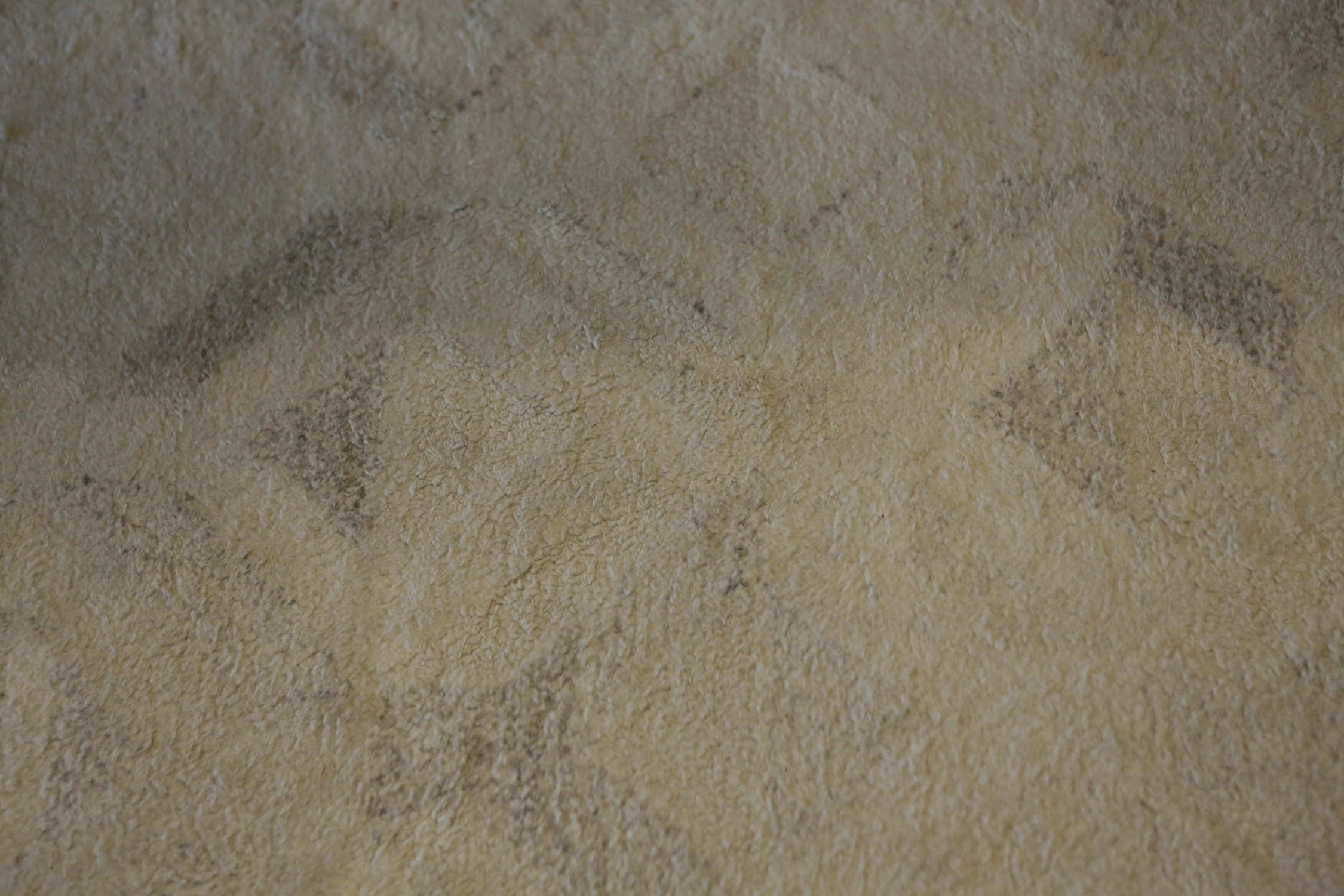 West Elm "Marquis" Area Rug