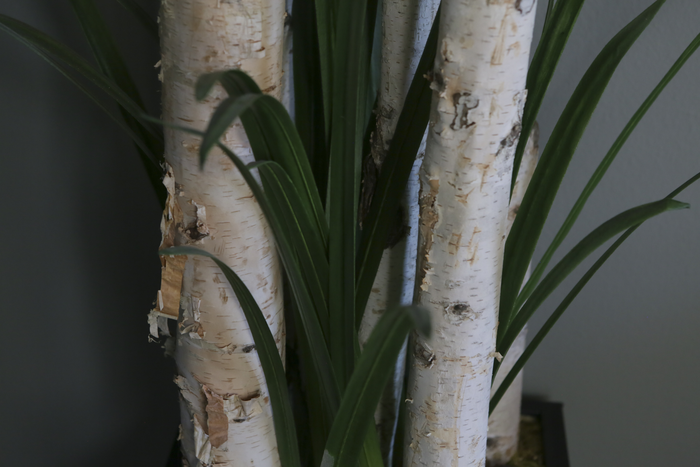 Faux Birch and Spider Plant Brown Tapered Pot