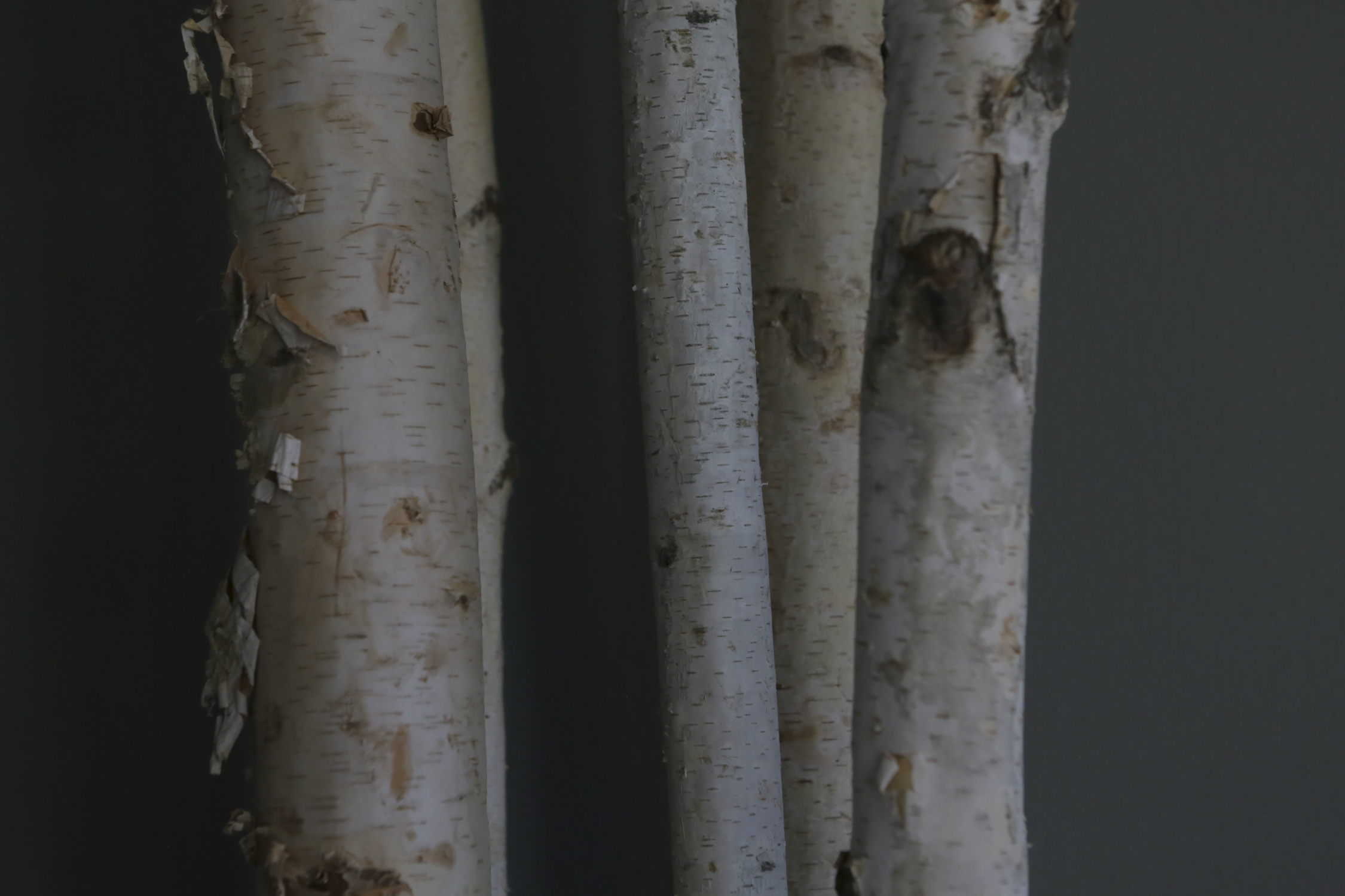 Faux Birch and Spider Plant Brown Tapered Pot