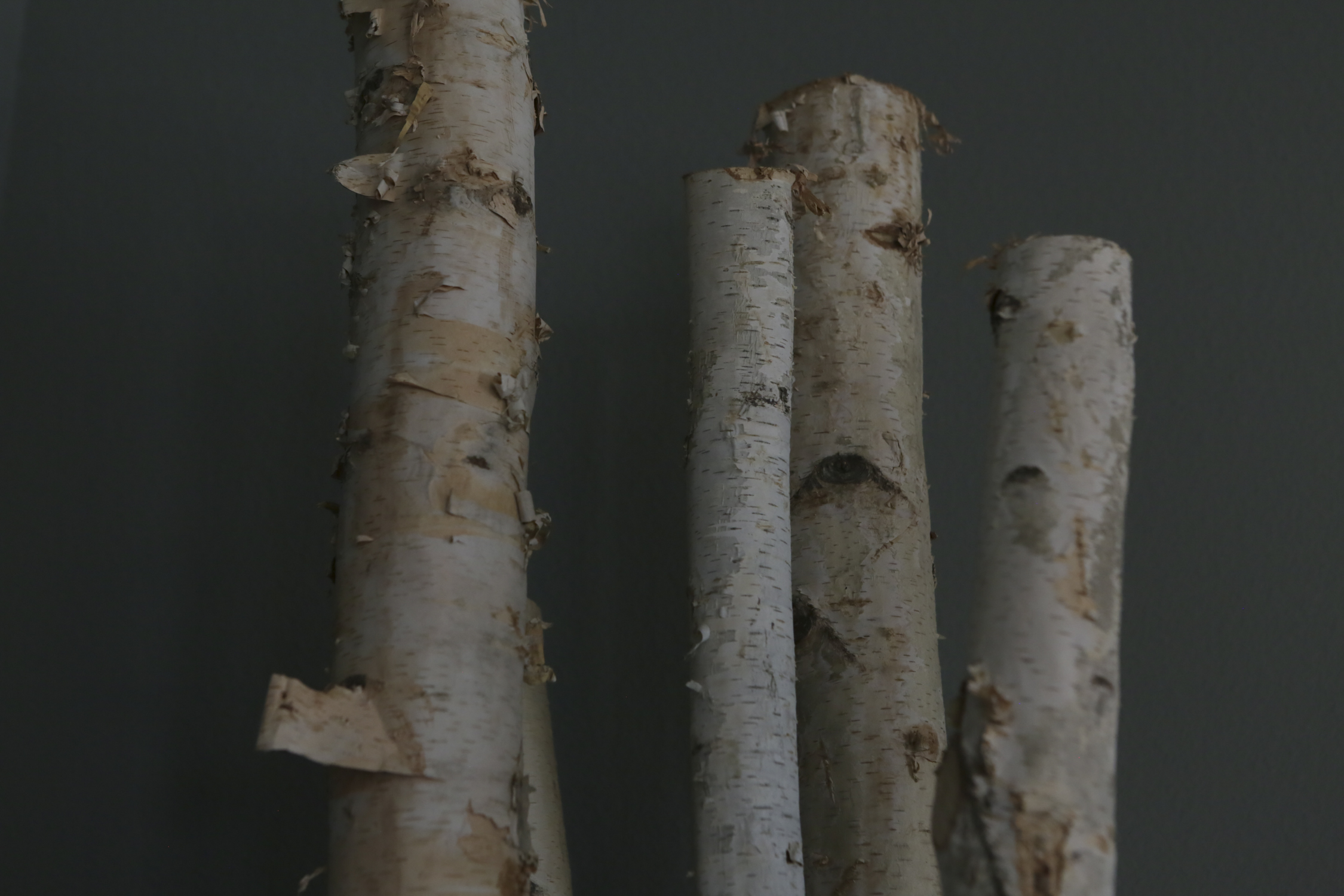 Faux Birch and Spider Plant Brown Tapered Pot