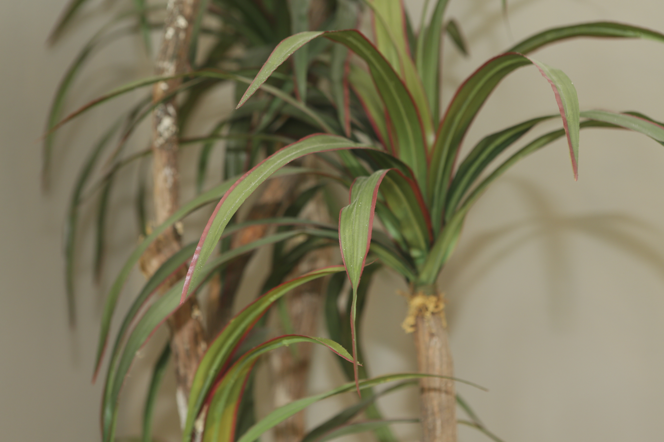 Artificial Indoor Tree in Metal Planter