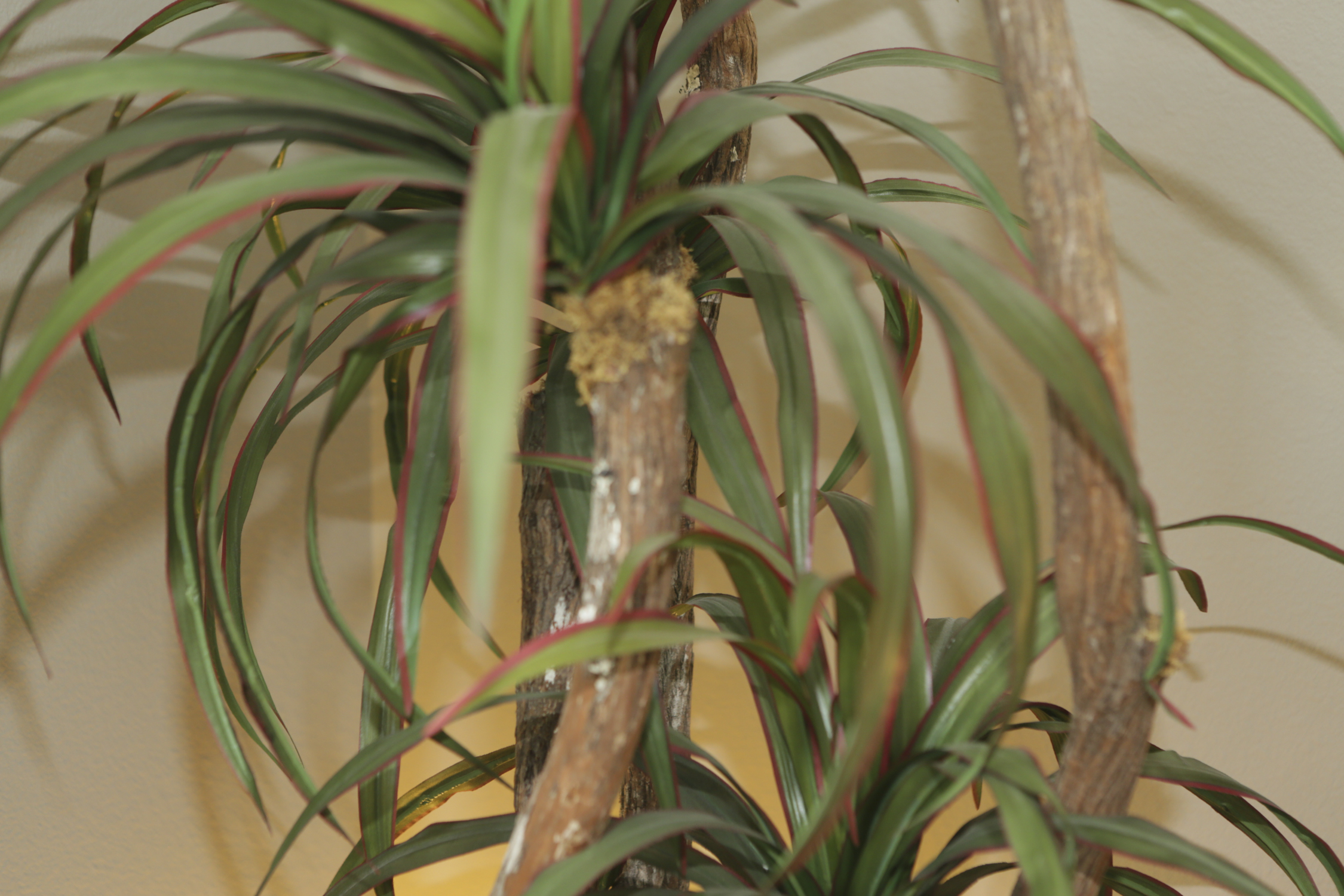 Artificial Indoor Tree in Metal Planter