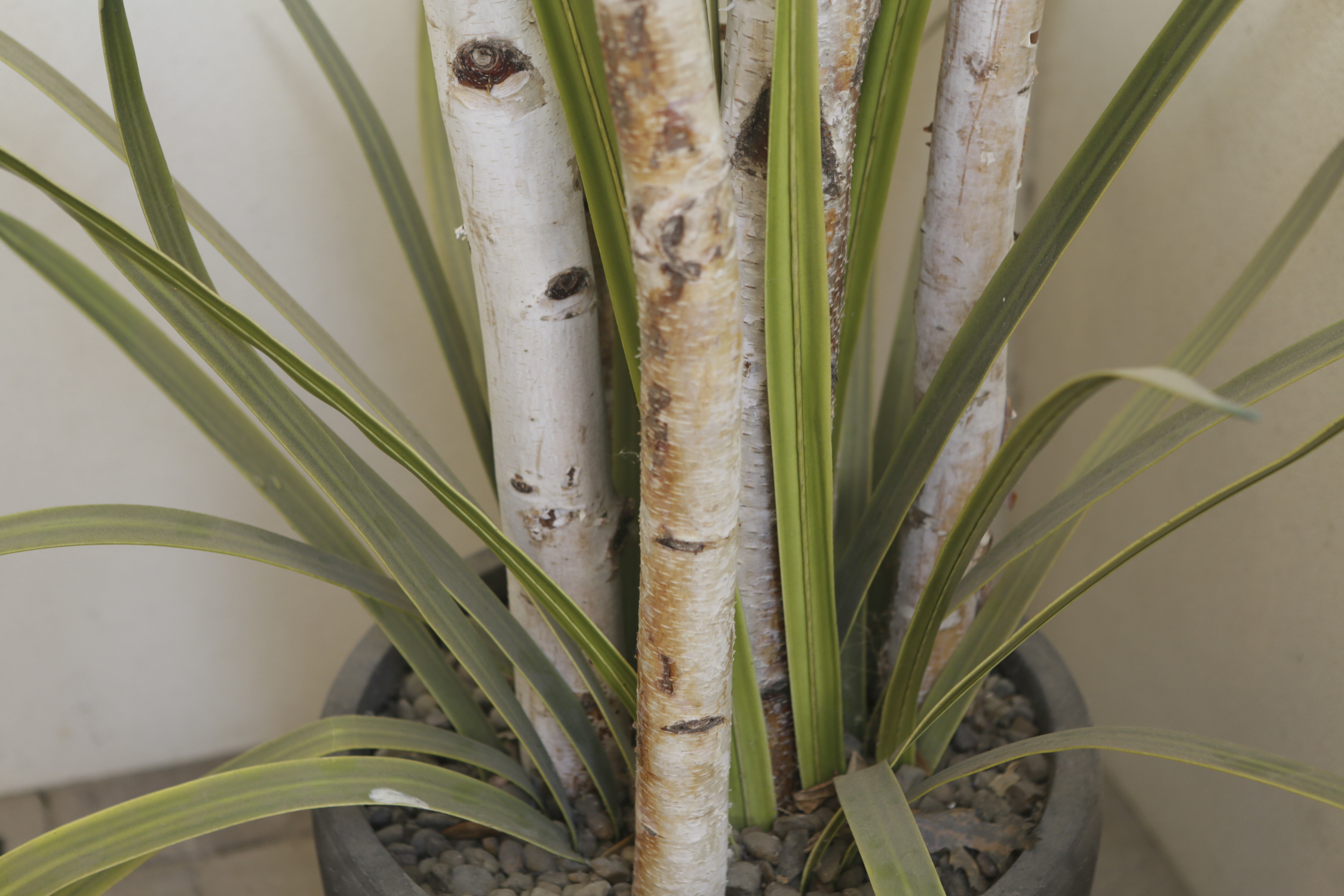Artificial White Birch Branches and Foligage Potted
