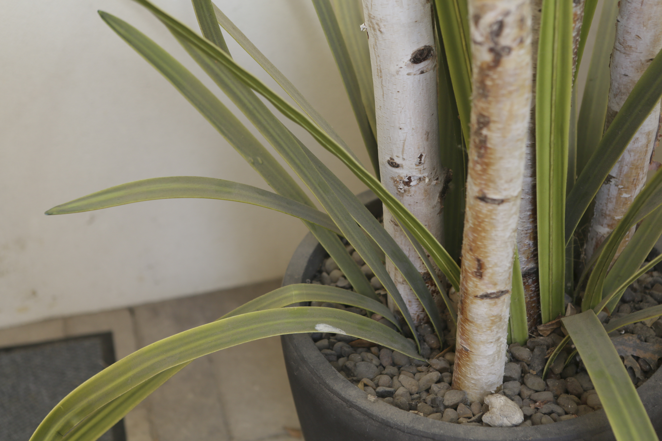 Artificial White Birch Branches and Foligage Potted