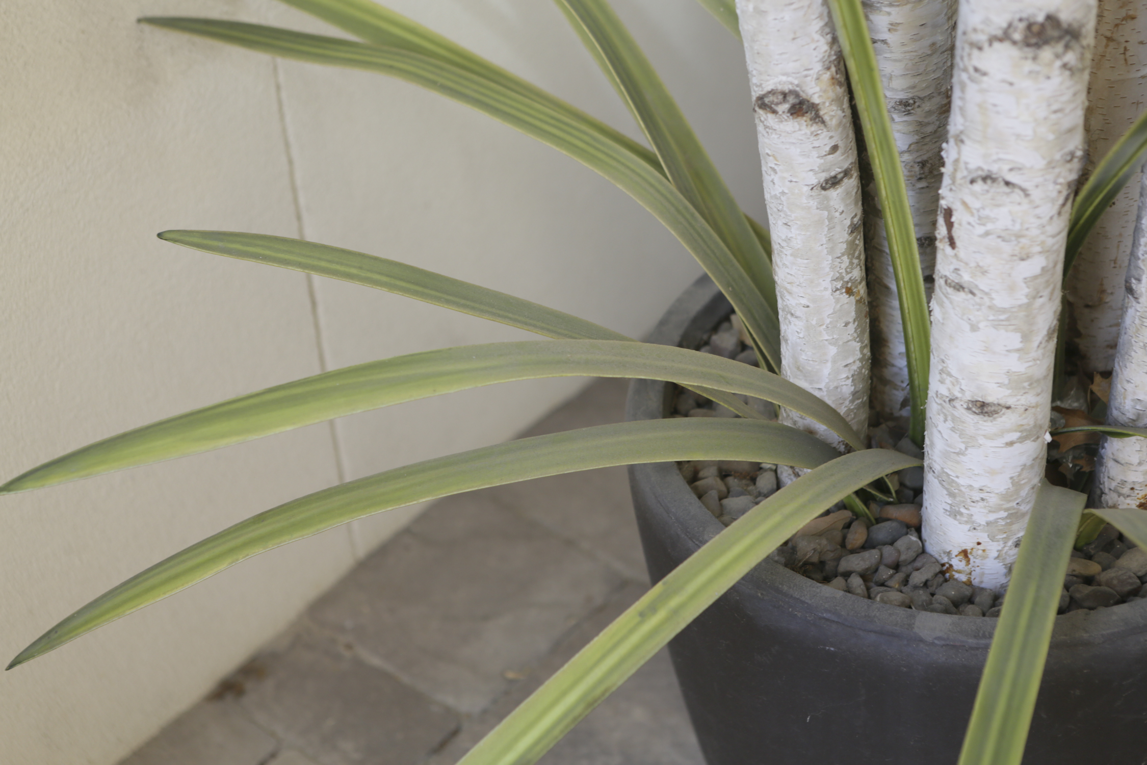Artificial White Burch and Foliage Planter